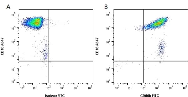 Flow Cytometry: CEACAM8/CD66b Antibody (80H3) [NB100-64916] - Figure A. Alexa Fluor 647 conjugated Mouse anti Human CD16) and purified Mouse IgG1 isotype control MCA928) detected with Goat anti Mouse IgG1 FITC ). Figure B. Alexa Fluor 647 conjugated Mouse anti Human CD16 ) and purified Mouse anti Human CD66b ) detected with Goat anti Mouse IgG1 FITC /a>). All experiments performed on human blood gated on live single cell granulocytes, in the presence of 10% human serum. Data acquired on the ZE5 Cell Analyzer