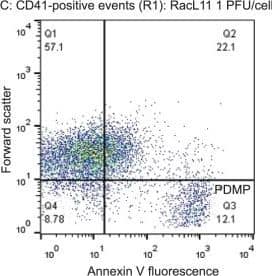 Flow Cytometry: P-Selectin/CD62P Antibody (Psel.KO.2.7) [DyLight 488] [NB100-65392G] - Flow cytometry gating strategy for quantification of platelet-derived microparticles in equine platelet samples.A: Platelet events in citrate-anticoagulated platelet-rich plasma were identified & gated as CD41-positive cells (R1 region) in a CD41 fluorescence versus forward scatter (FSC) dotplot. The R1 region or gate was established on an isotype control for the CD41 antibody. Representative image from platelets exposed to the RacL11 strain of EHV-1 at 1 plaque forming unit (PFU)/cell. B: Platelet-derived microparticles (PDMPs) were defined as small events (&lt;101 log FSC units) positive for Annexin V & CD41. The PDMP percentage was obtained from the lower right quadrant of an Annexin V fluorescence versus FSC dotplot of the R1 gate (CD41-positive events), with the quadrants being defined on a negative sample in which 1 mM EDTA was added to the buffer with Annexin V. The PDMP percentage was 0.1% in this representative image of platelets exposed to rabbit kidney 13 (RK) cell lysate at an equivalent volume to 1 PFU/cell (mock-infected negative control). The events in the upper left & right quadrants are platelets that are negative (94.0%) & positive for Annexin V (0.9%), respectively. C: Representative image of PDMP quantification in platelets exposed to RacL11 at 1 PFU/cell. In this sample, there are 12.1% PDMP (lower right quadrant) & 22.1% of platelets are weakly positive for Annexin V (upper right quadrant). Image collected & cropped by CiteAb from the following publication (https://pubmed.ncbi.nlm.nih.gov/25905776), licensed under a CC-BY license. Not internally tested by Novus Biologicals.