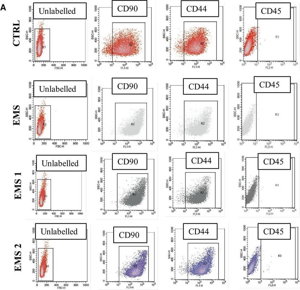 Flow Cytometry: CD45 Antibody (YKIX716.13) [NB100-65906] - Immunophenotyping & multipotency assay. Representative dot plots from flow cytometry analysis (A). Expression of surface antigens were investigated in cells cultured in control & AZA/RES supplemented medium. Isolated cells were characterized by the expression of CD90 & CD44 while lacked the expression of CD45 hematopoietic marker (B). Multipotency of isolated cells was confirmed by three lineage differentiation (C). In order to confirm formation of proteoglycans during chondrogenesis cells were stained with Safranin O. Intracellular lipid droplets were visualized by Oil Red O while mineralized matrix formed during osteogenesis with Alizarin Red. Magnification ×100, scale bars: 250 μm. Results expressed as mean ± SD. Statistical significance indicated as asterisk (*) when comparing the result to ASCCTRL, & as hashtag (#) when comparing to ASCEMS. ###P < 0.001 Image collected & cropped by CiteAb from the following publication (//pubmed.ncbi.nlm.nih.gov/30370650), licensed under a CC-BY license. Not internally tested by Novus Biologicals.