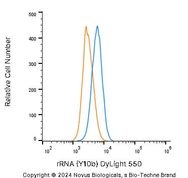 An intracellular stain was performed on A431 human skin carcinoma cell line using Mouse anti-rRNA (Y10b) Protein-G purified Monoclonal Antibody conjugated to DyLight 550 (Catalog # NB100-662R, blue histogram) or matched control antibody (orange histogram) at 2.5 µg/mL for 30 minutes at RT.