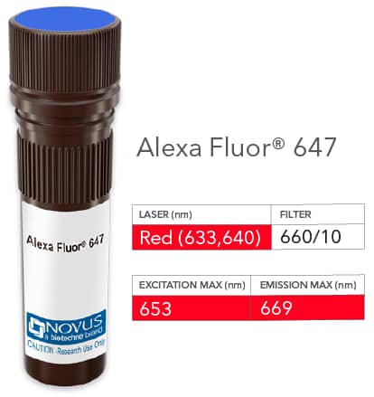 HLA-DR Antibody (L243) [Alexa Fluor® 647] [NB100-77855AF647] - Vial of Alexa Fluor 647 conjugated antibody. Alexa Fluor 647 is optimally excited at 653 nm by the Red laser (633 or 640 nm) and has an emission maximum of 669 nm.