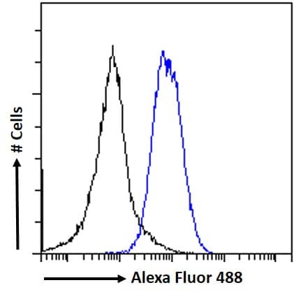 Flow Cytometry: EPB41L5 Antibody [NB100-93392] - Flow cytometric analysis of paraformaldehyde fixed A549 cells (blue line), permeabilized with 0.5% Triton. Primary incubation 1hr (10ug/ml) followed by Alexa Fluor 488 secondary antibody (1ug/ml). IgG control: Unimmunized goat IgG (black line) followed by Alexa Fluor 488 secondary antibody.