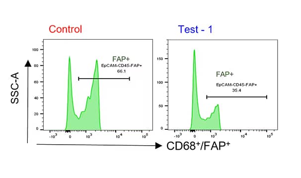 Flow Cytometry: Fibroblast Activation Protein alpha/FAP Antibody [Alexa Fluor® 488] [NB110-85534AF488] - Specific co-culture system created to study human macrophage cancer cells' conduction of MMT process, and Fibroblast Activation Protein alpha/FAP Antibody [Alexa Fluor® 488] (Catalog #  NB110-85534AF488) was used as a myo-CAFs marker. Image from a verified customer review.