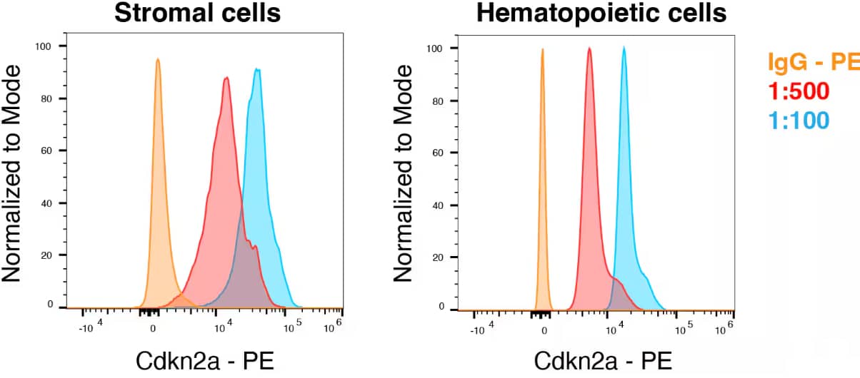 Flow Cytometry: p19ARF/CDKN2A Antibody (5-C3-1) - BSA Free - Conducted the antibody trial with two different dilutions of p19ARF/CDKN2A Antibody (5-C3-1) [PE] (Catalog # NB200-174PE) (1:500 and 1:100) and compared them to an IgG control which was also PE labelled. Image from a verified customer review.