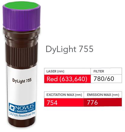 GAP-43 Antibody [DyLight 755] [NB300-143IR] - Vial of DyLight 755 conjugated antibody. DyLight is optimally excited at 754 nm by the Red laser (633 or 640 nm) and has an emission maximum of 776 nm.