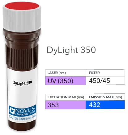 GAP-43 Antibody [DyLight 350] [NB300-143UV] - Vial of DyLight 350 conjugated antibody. DyLight 350 is optimally excited at 353 nm by the UV laser (350 or 355 nm) and has an emission maximum of 432 nm.