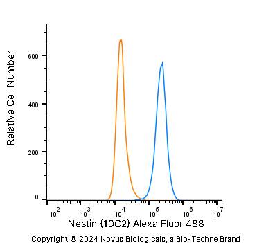 An intracellular stain was performed on SJCRH30 human Rhabdomyosarcoma cell line with Mouse anti-Nestin (10C2) Protein-G purified Monoclonal Antibody conjugated to Alexa Fluor® 488 (Catalog # NB300-266AF488, blue histogram) or matched control antibody (orange histogram) at 5 µg/mL for 30 minutes at RT.