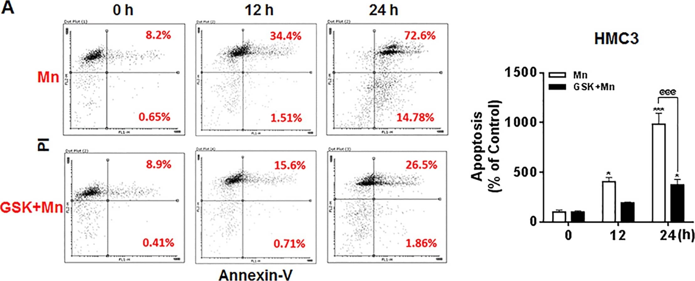 Flow Cytometry: LRRK2 Antibody - BSA Free [NB300-268] - Inhibition of LRRK2 kinase activity attenuates Mn-induced apoptosis.(A) After pre-treatment with GSK (1 μM) for 90 min, cells (HMC3) were exposed to Mn (250 μM) for the designated time periods, followed by annexin V & PI staining & flow cytometry analysis to determine apoptosis. Early & late apoptotic cells (Q2 & Q3) were analyzed. (B,C) After pre-treatment with GSK (1 μM) for 90 min, cells (LRRK2 WT RAW 264.7 & HMC3) were exposed to Mn for designated time periods, followed by the MTT assay to determine cell viability, as described in the Methods section, (@@@, p < 0.001; *, p < 0.05; ***, p < 0.001 compared to the control (one-way ANOVA followed by Tukey’s post hoc test; n = 3, apoptosis assay; n = 6, MTT assay). The data shown are representative of 3 independent experiments. Image collected & cropped by CiteAb from the following publication (//pubmed.ncbi.nlm.nih.gov/30645642), licensed under a CC-BY license. Not internally tested by Novus Biologicals.