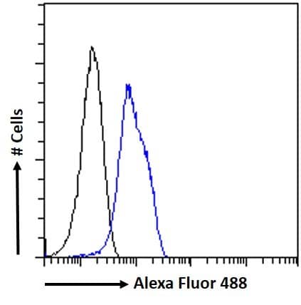 Flow Cytometry: SENP6 Antibody [NBP1-00238] - Flow cytometric analysis of paraformaldehyde fixed U2OS cells (blue line), permeabilized with 0.5% Triton. Primary incubation 1hr (10ug/ml) followed by Alexa Fluor 488 secondary antibody (1ug/ml). IgG control: Unimmunized goat IgG (black line) followed by Alexa Fluor 488 secondary antibody.