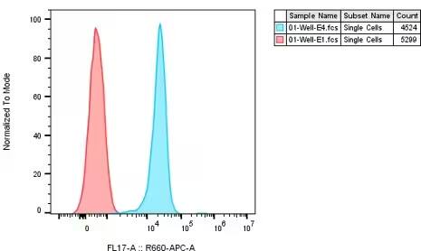 Flow Cytometry: Mouse Monoclonal Dectin-1/CLEC7A Antibody (BD6) [Alexa Fluor® 647] [NBP1-21513AF647] - Detection of human Dectin1/CLEC7A on HEK cells expressing isoform A of human Dectin1/CLEC7A. The cells received 5 uL of the human Dectin1/CLEC7A  AF647-conjugated antibody (BLUE) or mouse IgG2b AF647-conjugated isotype control (RED). Image from a verified customer review.