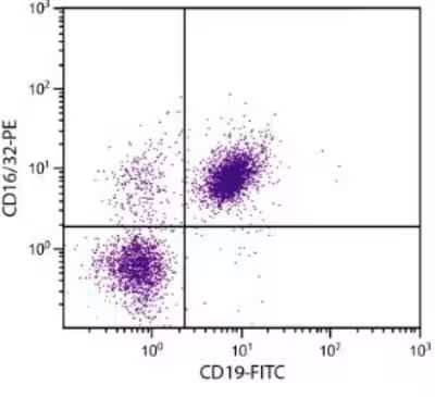 Analysis using the PE conjugate of NBP1-27946. Multiple staining of BALB/c splenocytes.