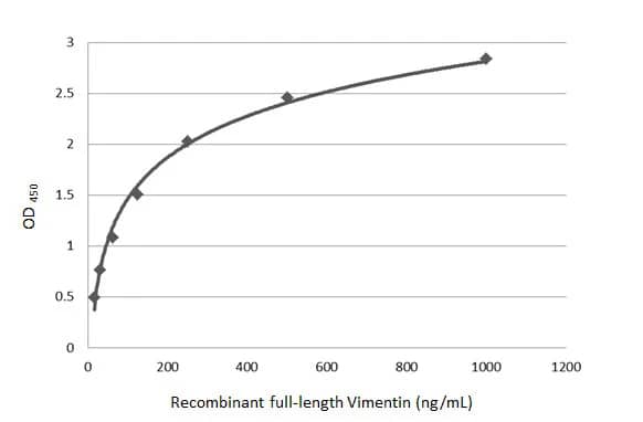 ELISA: Vimentin Antibody [NBP1-31327] - Sandwich ELISA detection of recombinant full-length Vimentin protein using GTX629743 as capture antibody at concentration of 5 ug/mL and NBP1-31327 as detection antibody at concentration of 1 ug/mL. Rabbit IgG antibody (HRP)  was diluted at 1:10000 and used to detect the primary antibody.