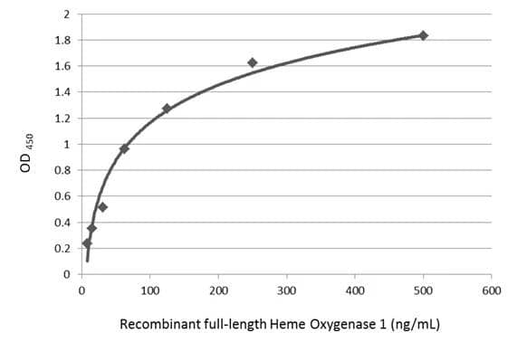 Sandwich ELISA detection of recombinant full-length HO-1/HMOX1/HSP32 protein using GTX633677 as capture antibody at concentration of 5 ug/mL and NBP1-31341 as detection antibody at concentration of 1 ug/mL. Rabbit IgG antibody (HRP) was diluted at 1:10000 and used to detect the primary antibody. 