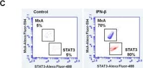 Flow Cytometry MxA/Mx1 Antibody - BSA Free