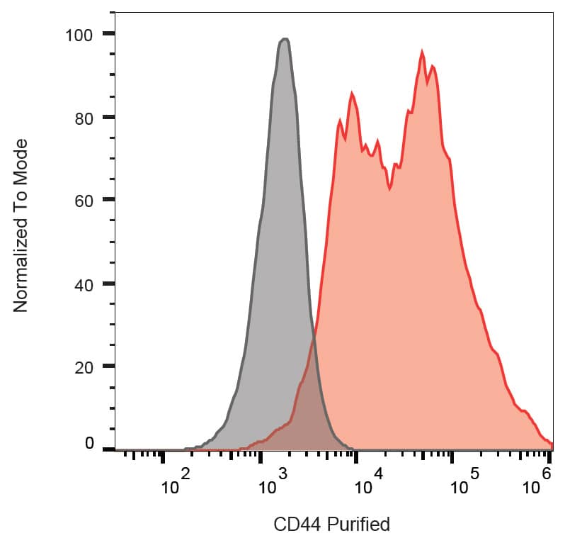 Analysis of CD44 in HeLa cells (positive; lane 2) and MOLT-4 cells (negative; lane 1) using anti-CD44 (IM7) purified; non-reducing conditions.