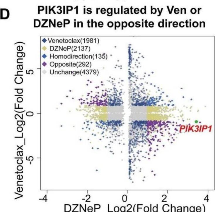 Flow Cytometry PIK3IP1 Antibody - BSA Free