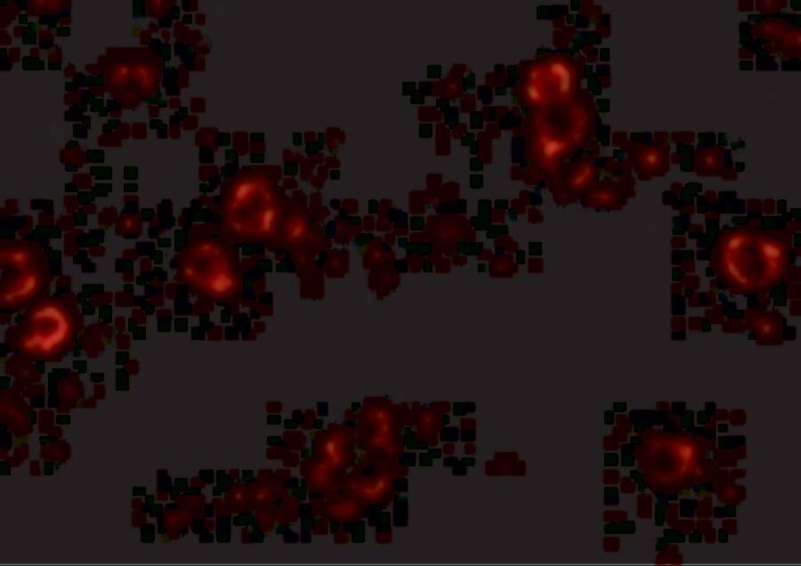 Immunocytochemistry/ Immunofluorescence: XBP1 Antibody (3H1G4) - BSA Free [NBP1-75514] - Immunofluorescence of XBP1 in HepG2 cells with XBP1 antibody at 4 u/mL.