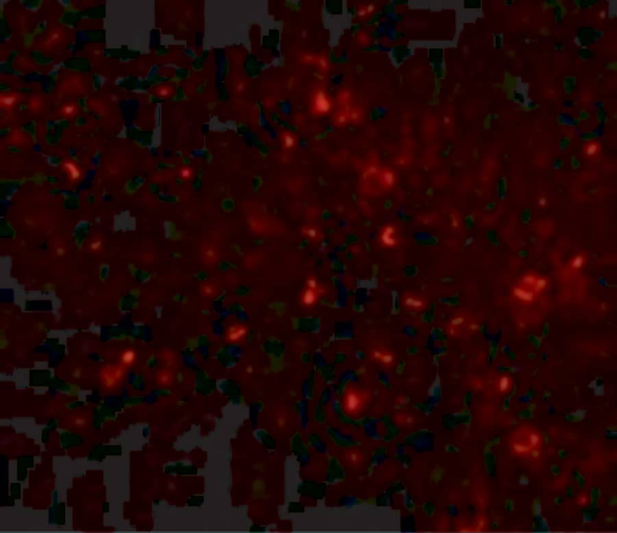 Immunocytochemistry/ Immunofluorescence Orai1 Antibody (3F6H5) - BSA Free