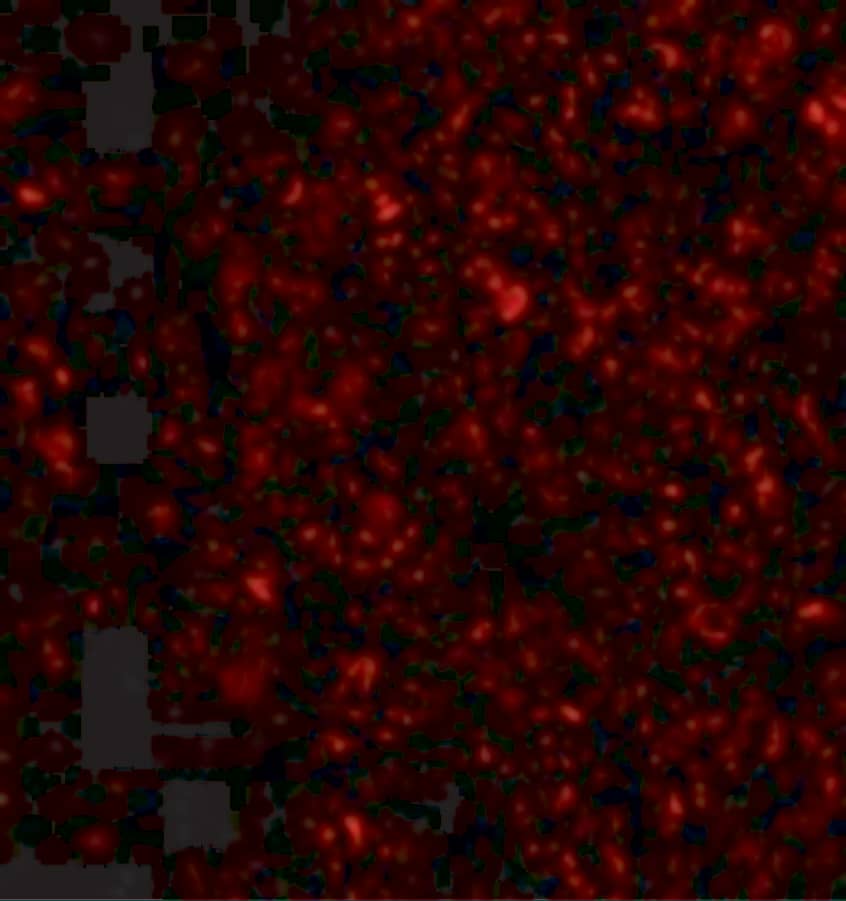 Immunocytochemistry/ Immunofluorescence: IL-33 Antibody - BSA Free [NBP1-76394] - Validation of IL-33 in Human Lymph Node.Immunofluorescent analysis of 4% paraformaldehyde-fixed human lymph node tissue labeling IL-33 with  at 20 ug/mL, followed by goat anti-rabbit IgG secondary antibody at 1/500 dilution (red). 