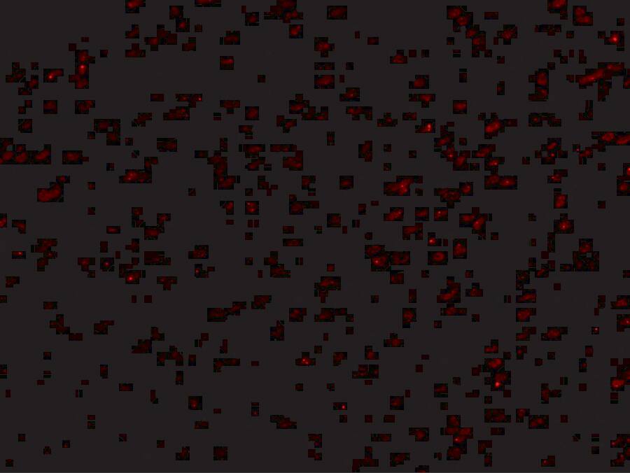 Immunocytochemistry/ Immunofluorescence: Lano Antibody - BSA Free [NBP1-76678] - Immunofluorescence of Lano in human colon tissue with Lano antibody at 20 ug/mL.