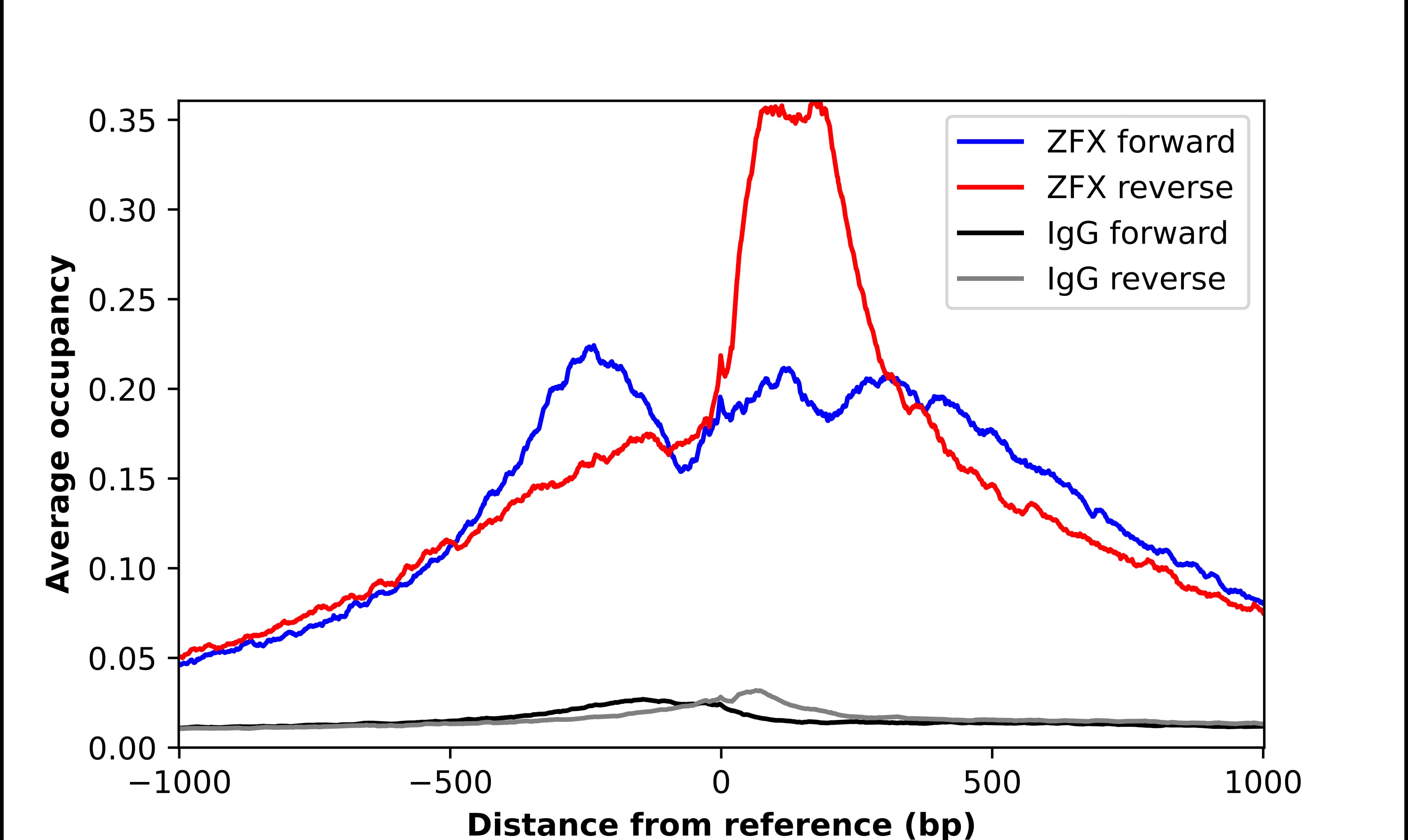 Chromatin Immunoprecipitation ZFX Antibody - BSA Free