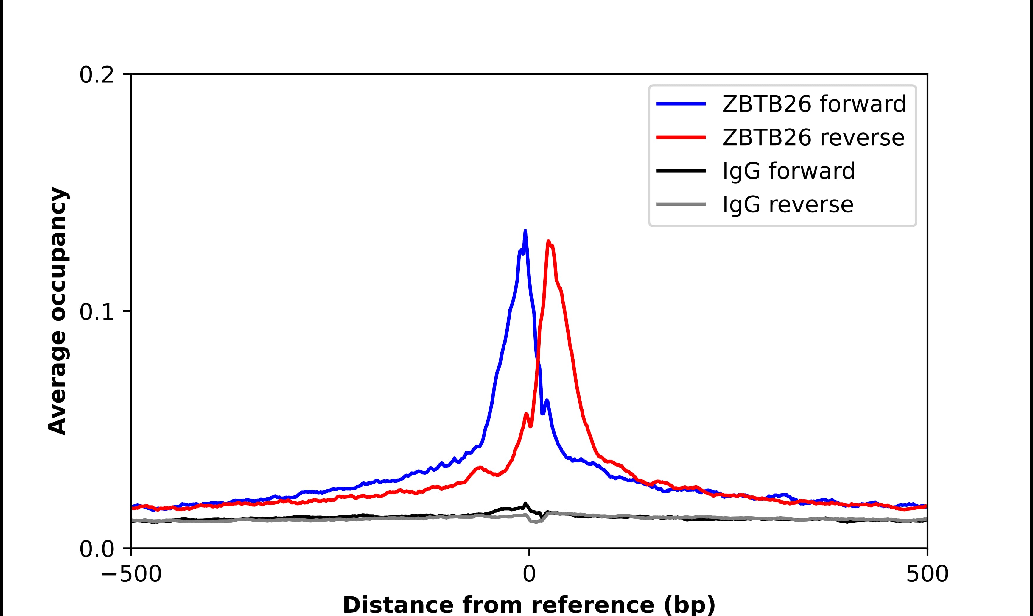 Chromatin Immunoprecipitation ZBTB26 Antibody - BSA Free