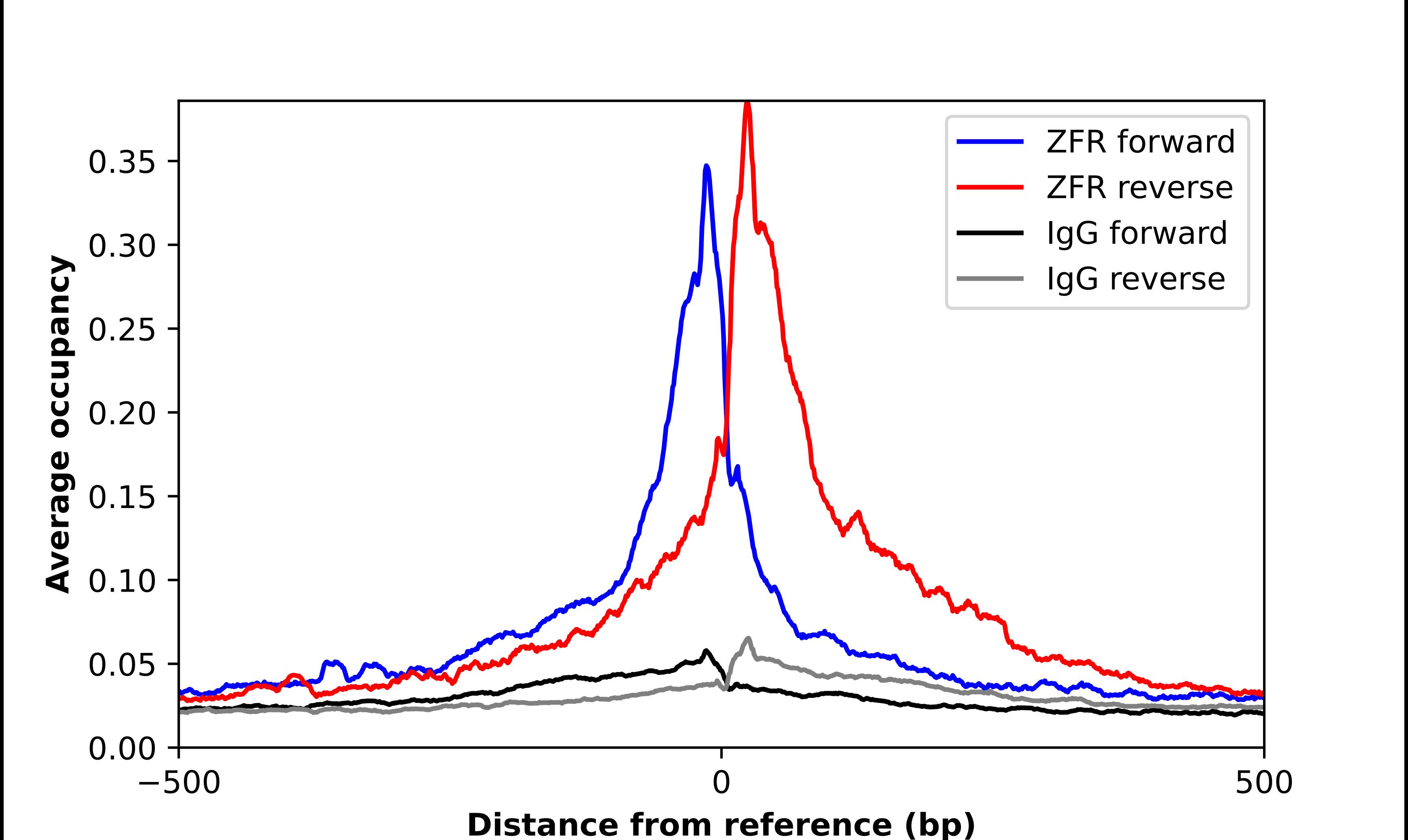 Chromatin Immunoprecipitation ZFR Antibody - BSA Free