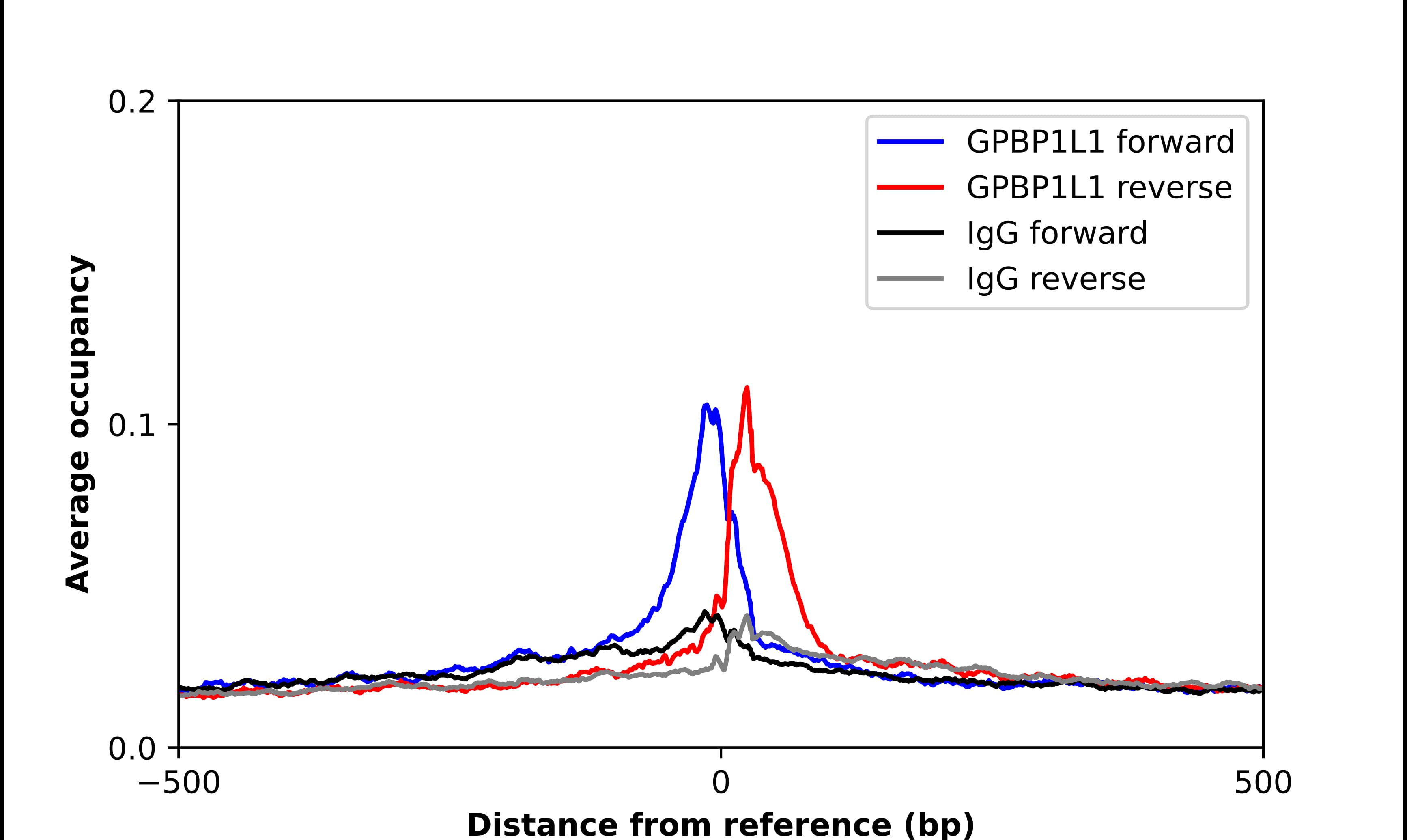 Chromatin Immunoprecipitation GPBP1L1 Antibody - BSA Free