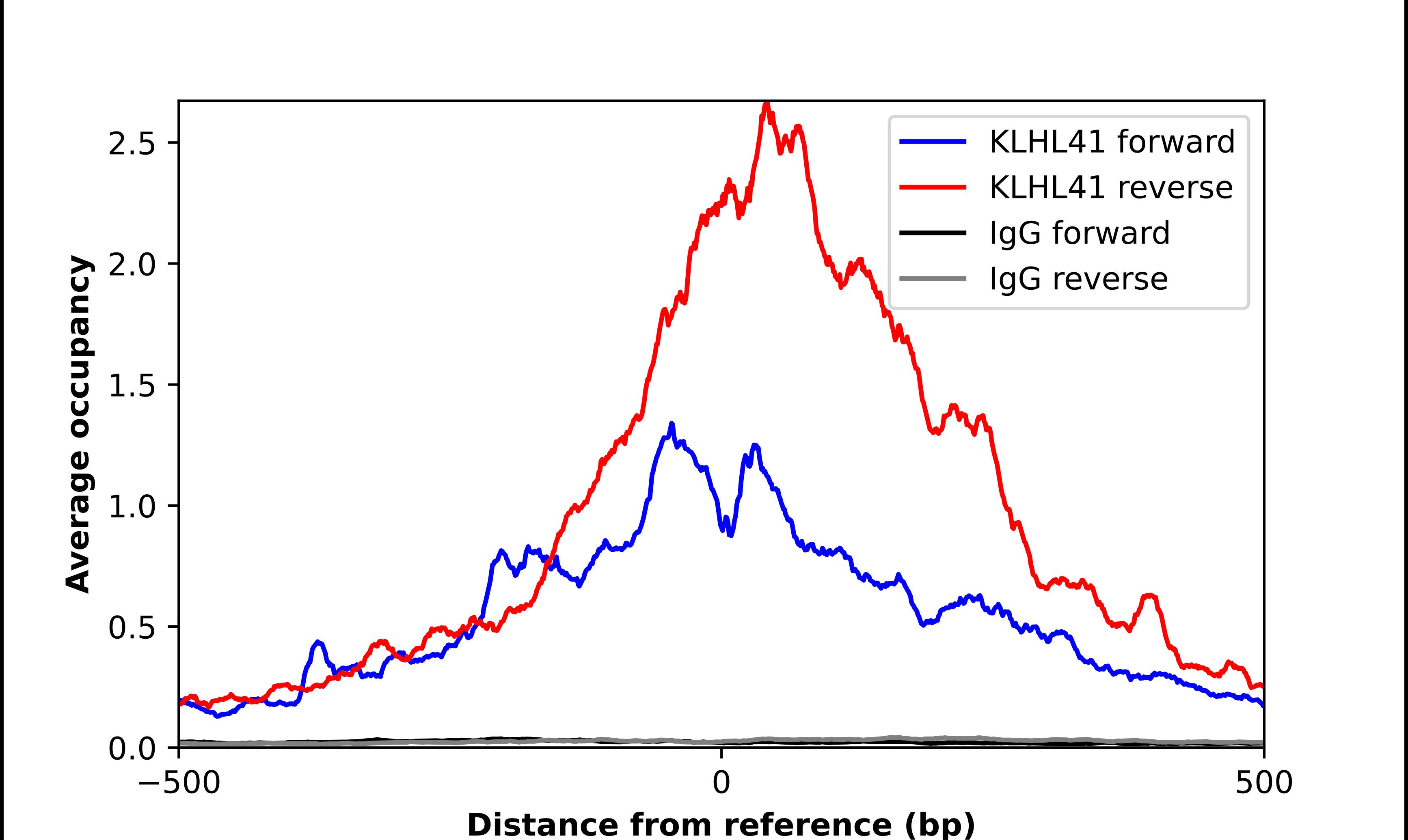 ChIP-Exo-Seq composite graph for Anti-KBTBD10 tested in K562 cells. Strand-specific reads (blue: forward, red: reverse) and IgG controls (black: forward, grey: reverse) are plotted against the distance from a composite set of reference binding sites. The antibody exhibits robust target enrichment compared to a non-specific IgG control and precisely reveals its structural organization around the binding site. Data generated by Prof. B. F. Pugh's Lab at Cornell University.