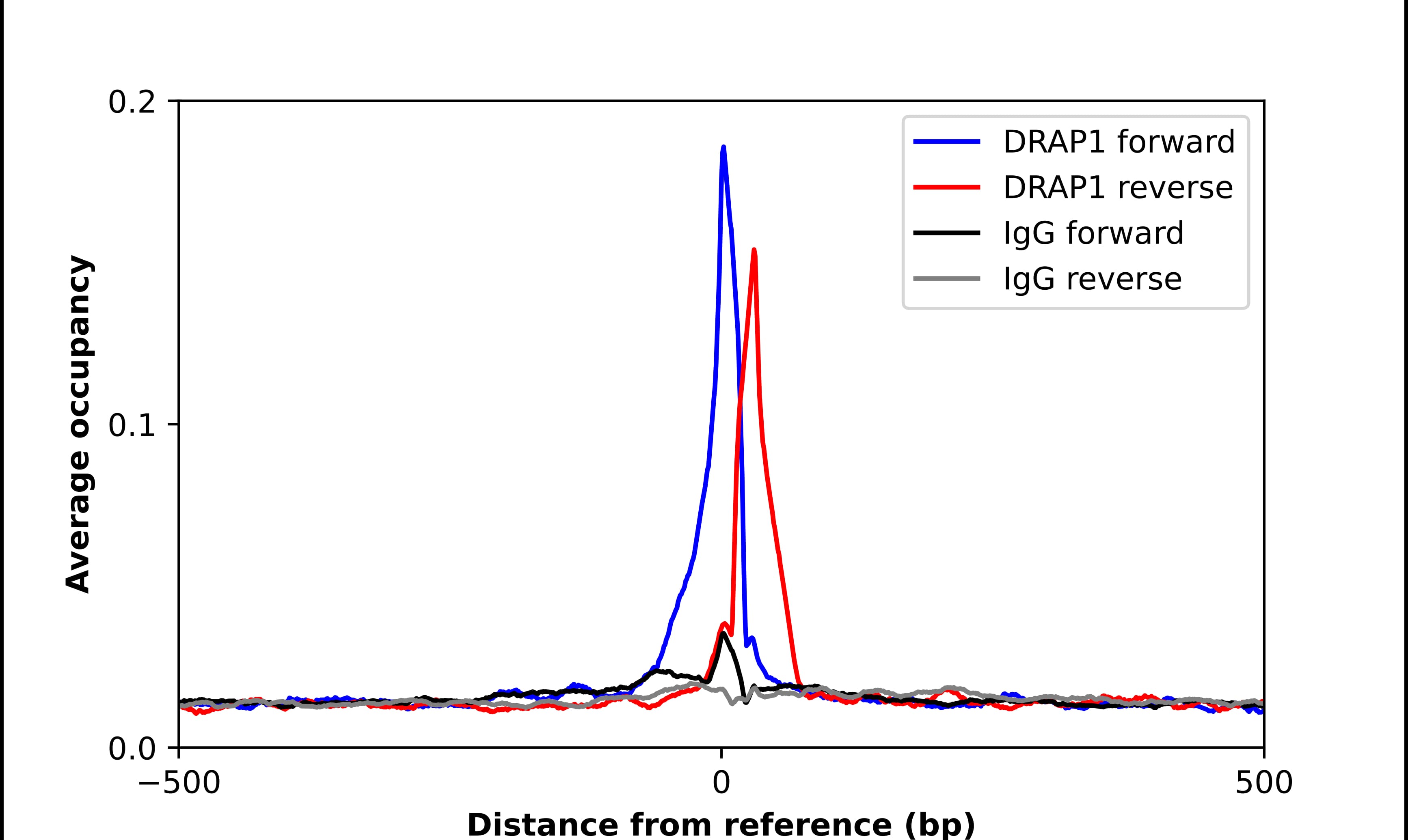 Chromatin Immunoprecipitation DRAP1 Antibody - BSA Free