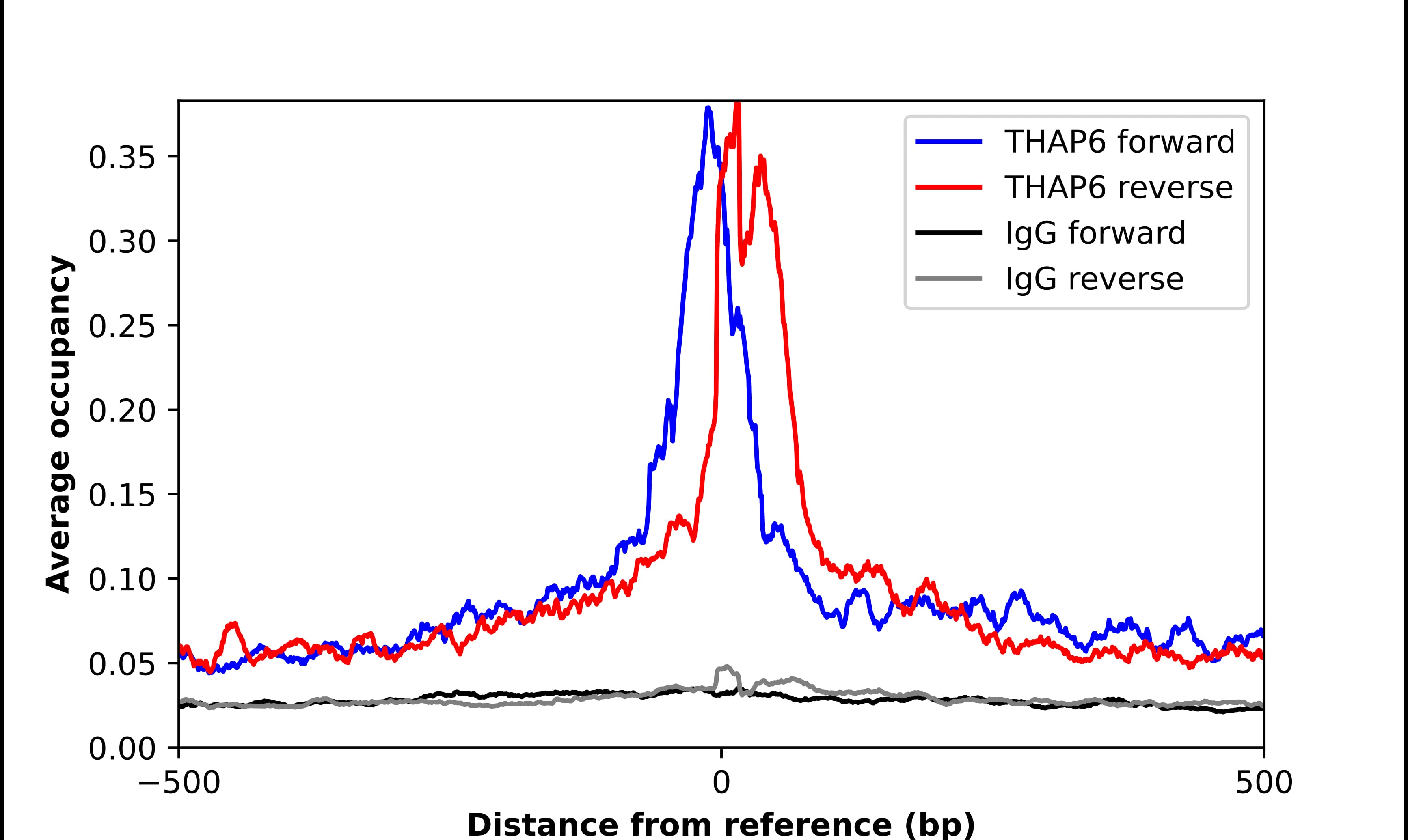 ChIP-Exo-Seq composite graph for Anti-THAP6 (NBP1-81130) tested in K562 cells. Strand-specific reads (blue: forward, red: reverse) and IgG controls (black: forward, grey: reverse) are plotted against the distance from a composite set of reference binding sites. The antibody exhibits robust target enrichment compared to a non-specific IgG control and precisely reveals its structural organization around the binding site. Data generated by Prof. B. F. Pugh´s Lab at Cornell University.