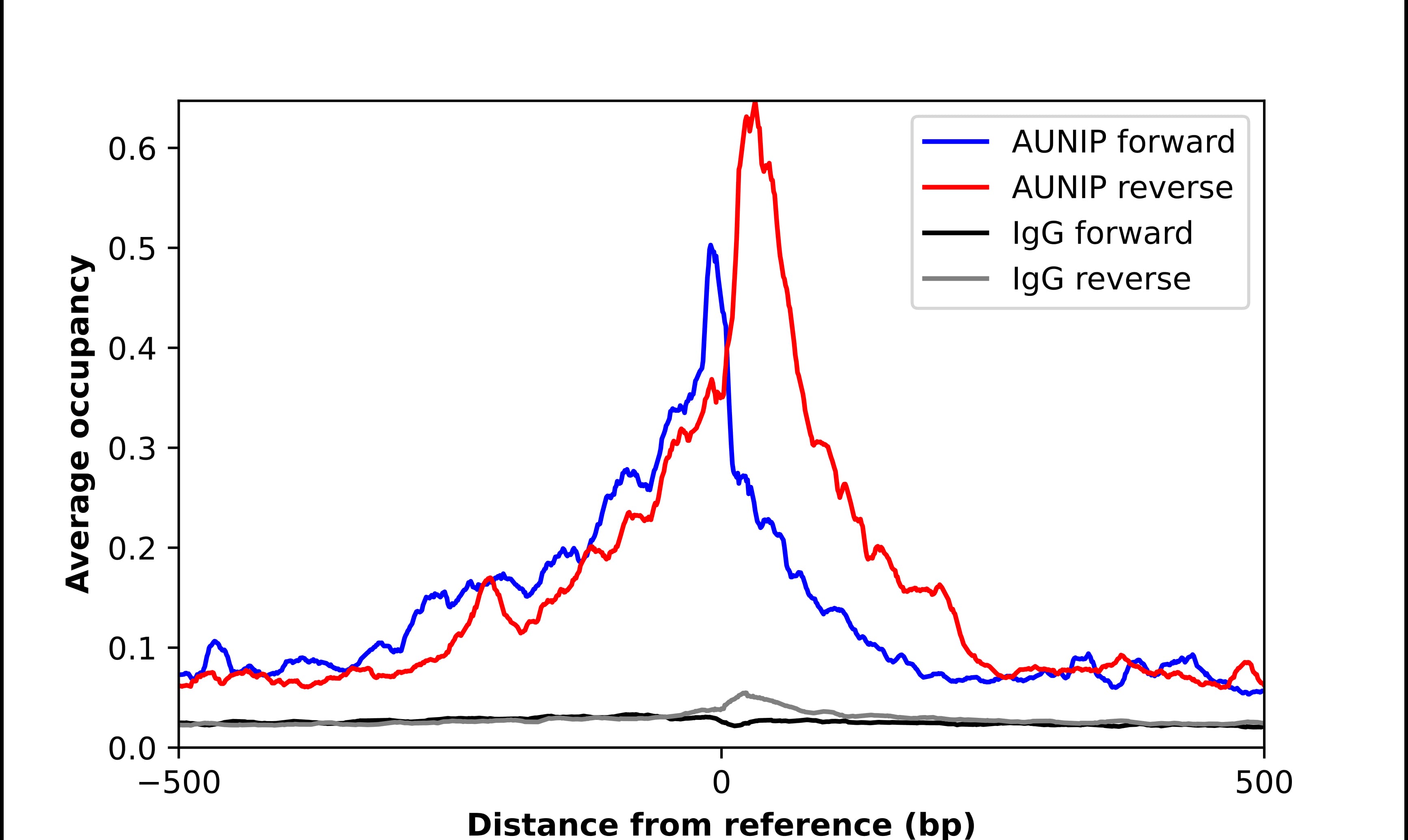 Chromatin Immunoprecipitation aurora A-binding protein Antibody - BSA Free