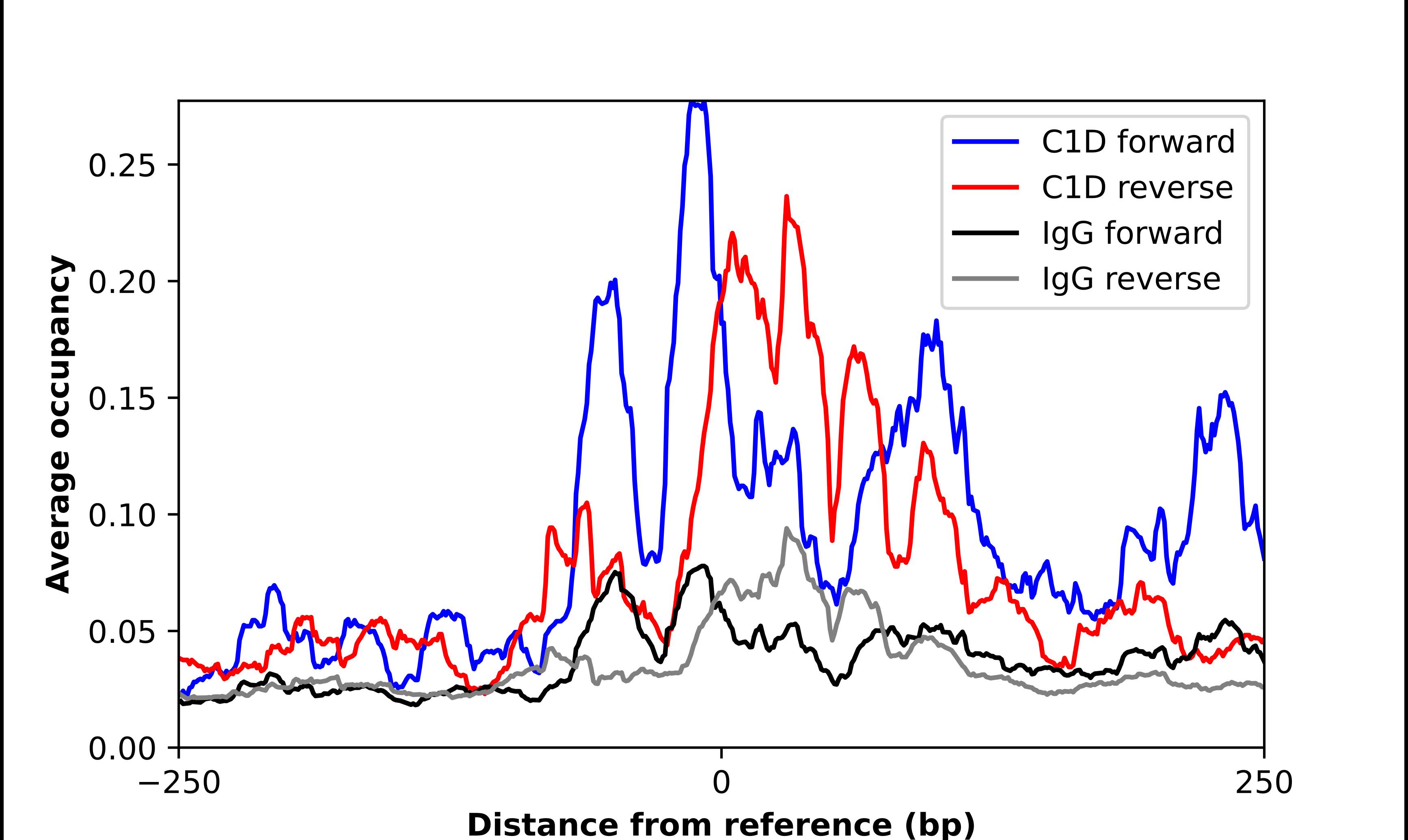 ChIP-Exo-Seq composite graph for Anti-C1D tested in K562 cells. Strand-specific reads (blue: forward, red: reverse) and IgG controls (black: forward, grey: reverse) are plotted against the distance from a composite set of reference binding sites. The antibody exhibits robust target enrichment compared to a non-specific IgG control and precisely reveals its structural organization around the binding site. Data generated by Prof. B. F. Pugh's Lab at Cornell University.