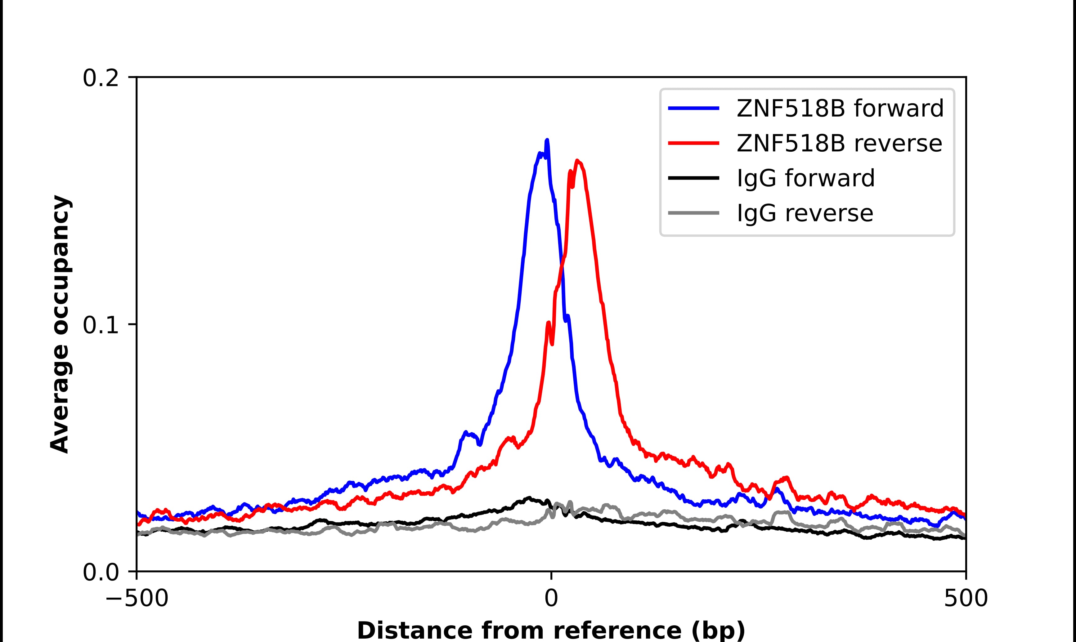 ChIP-Exo-Seq composite graph for Anti-ZNF518B tested in K562 cells. Strand-specific reads (blue: forward, red: reverse) and IgG controls (black: forward, grey: reverse) are plotted against the distance from a composite set of reference binding sites. The antibody exhibits robust target enrichment compared to a non-specific IgG control and precisely reveals its structural organization around the binding site. Data generated by Prof. B. F. Pugh's Lab at Cornell University.