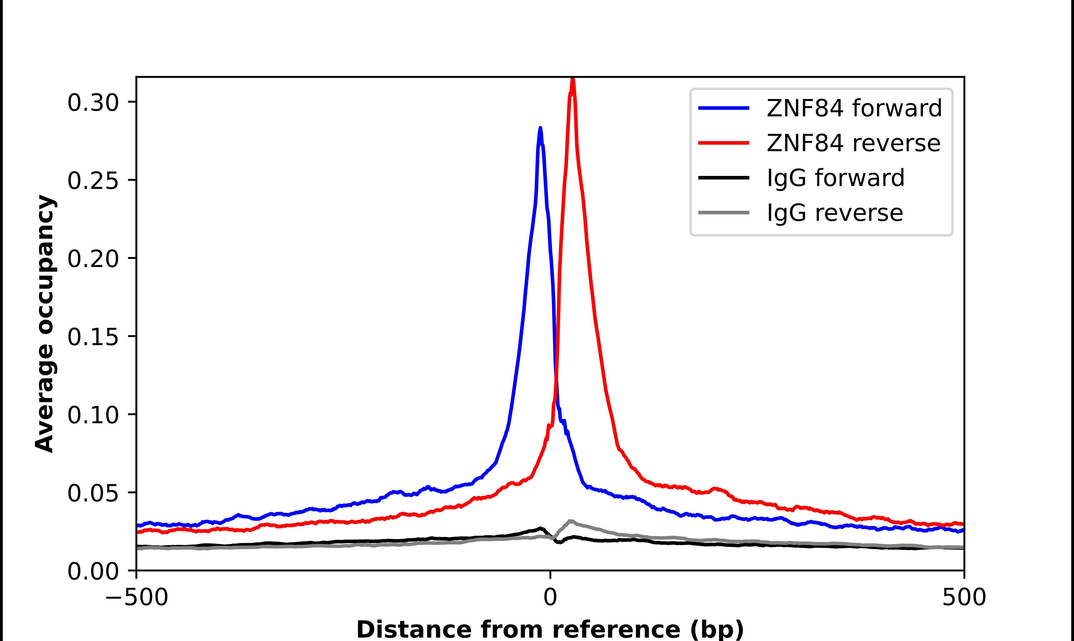 ChIP-Exo-Seq composite graph for Anti-ZNF84 (NBP1-81715) tested in K562 cells. Strand-specific reads (blue: forward, red: reverse) and IgG controls (black: forward, grey: reverse) are plotted against the distance from a composite set of reference binding sites. The antibody exhibits robust target enrichment compared to a non-specific IgG control and precisely reveals its structural organization around the binding site. Data generated by Prof. B. F. Pugh´s Lab at Cornell University.