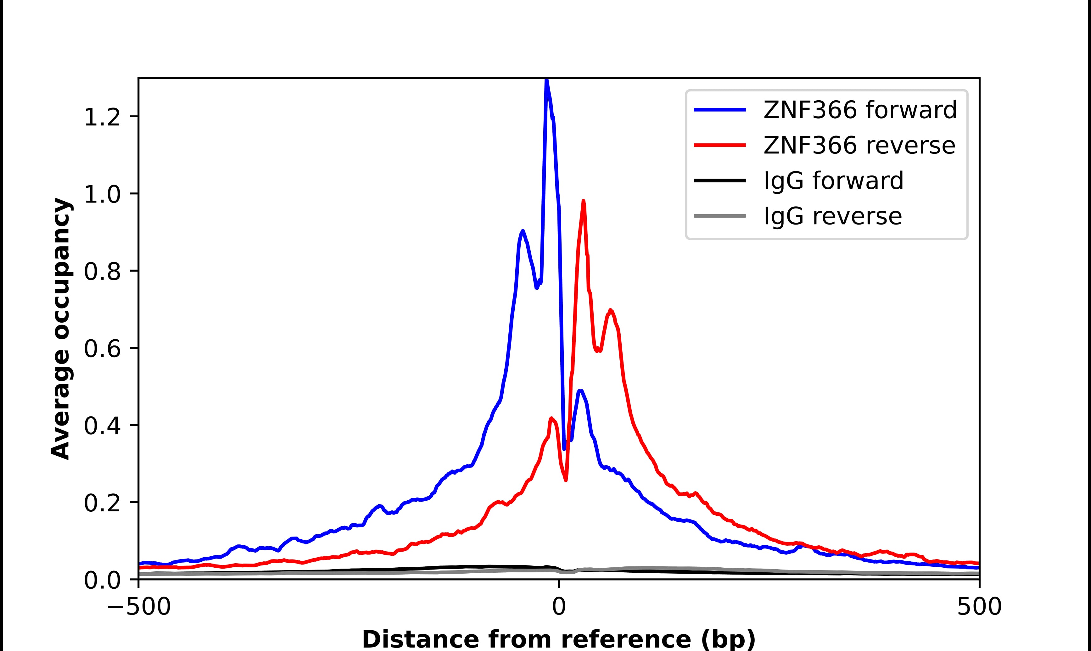 Chromatin Immunoprecipitation DC-SCRIPT/ZNF366 Antibody - BSA Free