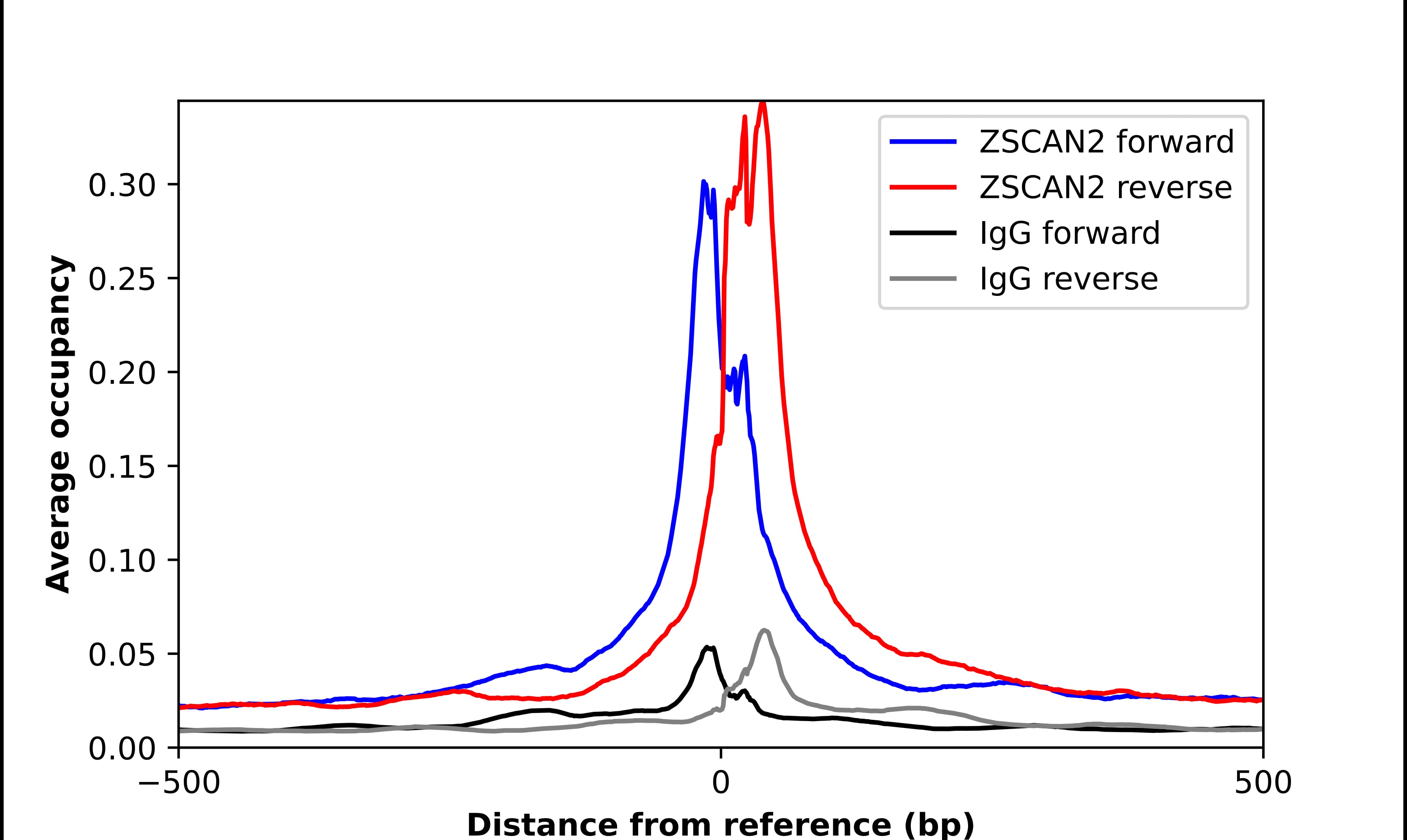 Chromatin Immunoprecipitation ZSCAN2 Antibody - BSA Free