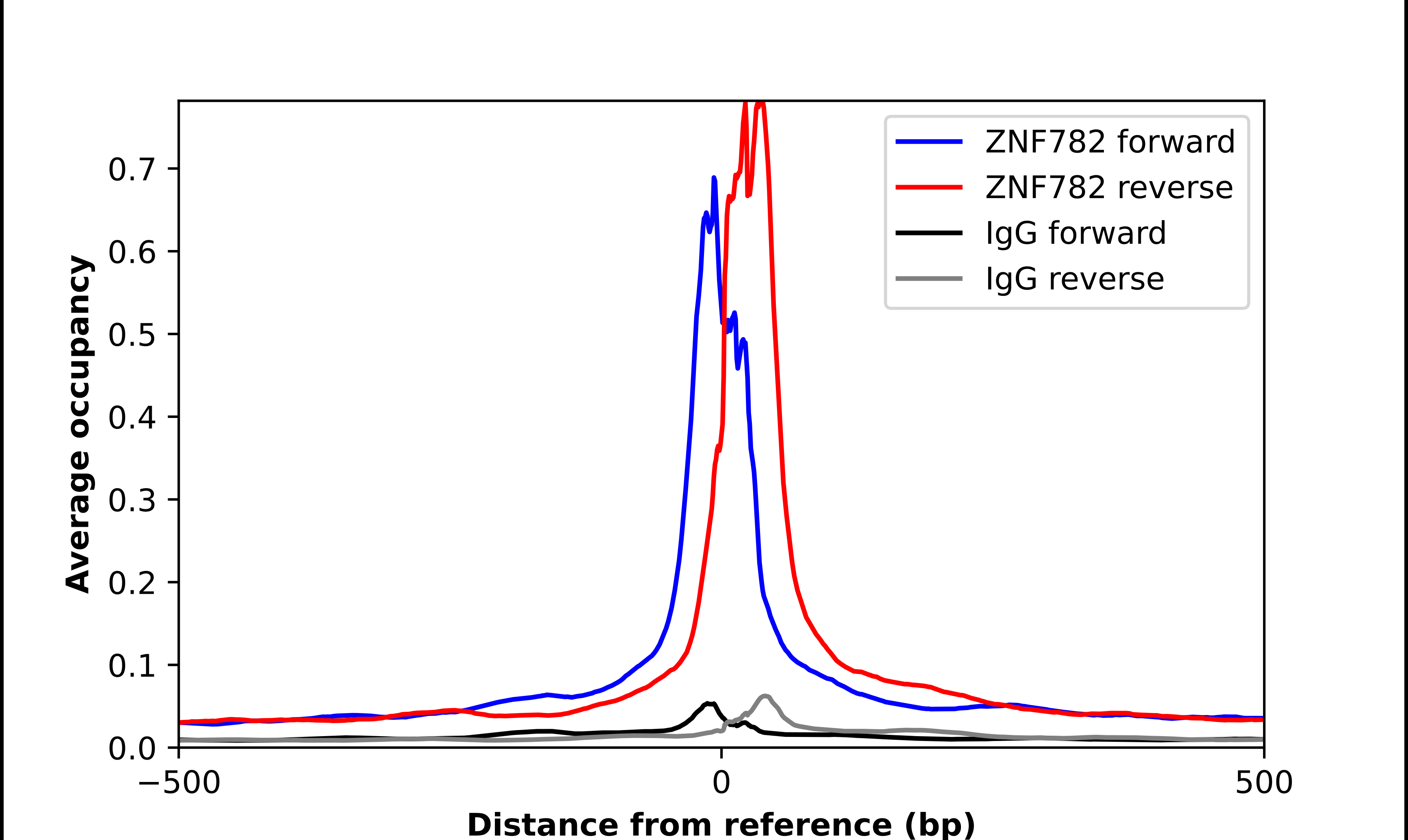 Chromatin Immunoprecipitation ZNF782 Antibody - BSA Free