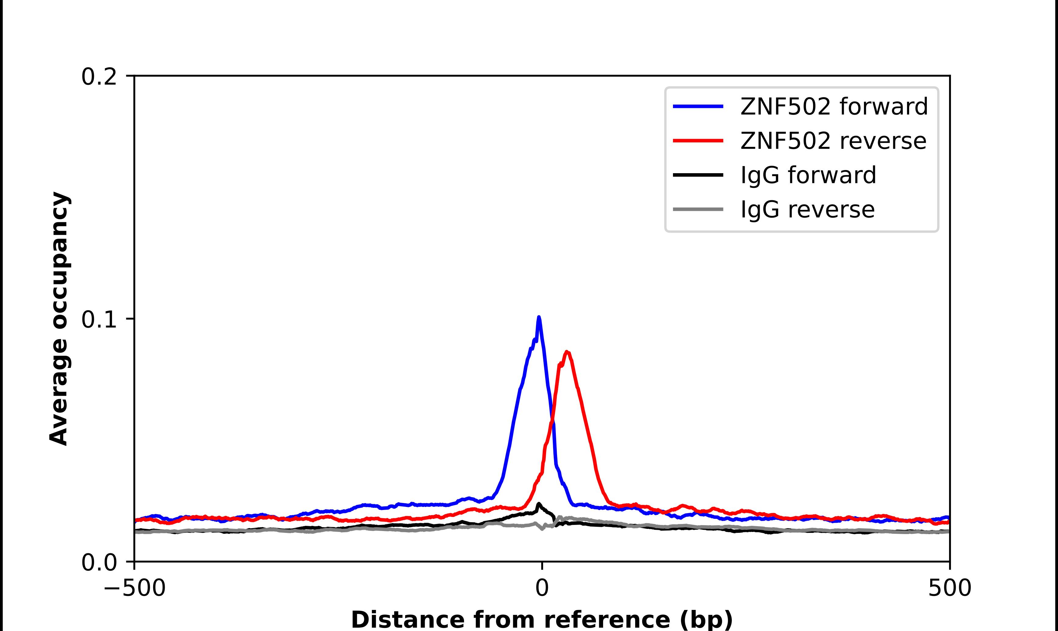 Chromatin Immunoprecipitation ZNF502 Antibody - BSA Free