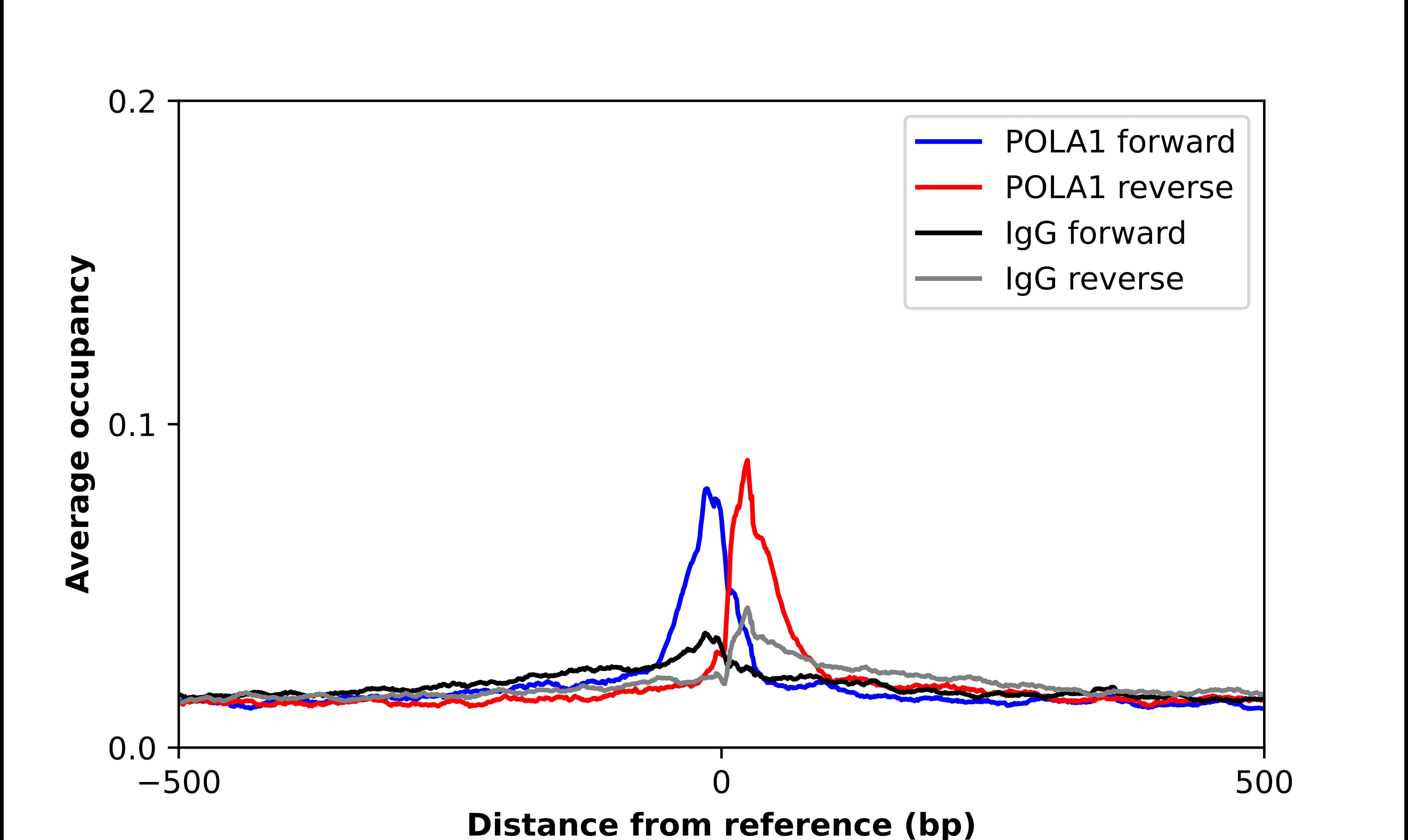 ChIP-Exo-Seq composite graph for Anti-DNA polymerase alpha tested in K562 cells. Strand-specific reads (blue: forward, red: reverse) and IgG controls (black: forward, grey: reverse) are plotted against the distance from a composite set of reference binding sites. The antibody exhibits robust target enrichment compared to a non-specific IgG control and precisely reveals its structural organization around the binding site. Data generated by Prof. B. F. Pugh's Lab at Cornell University.