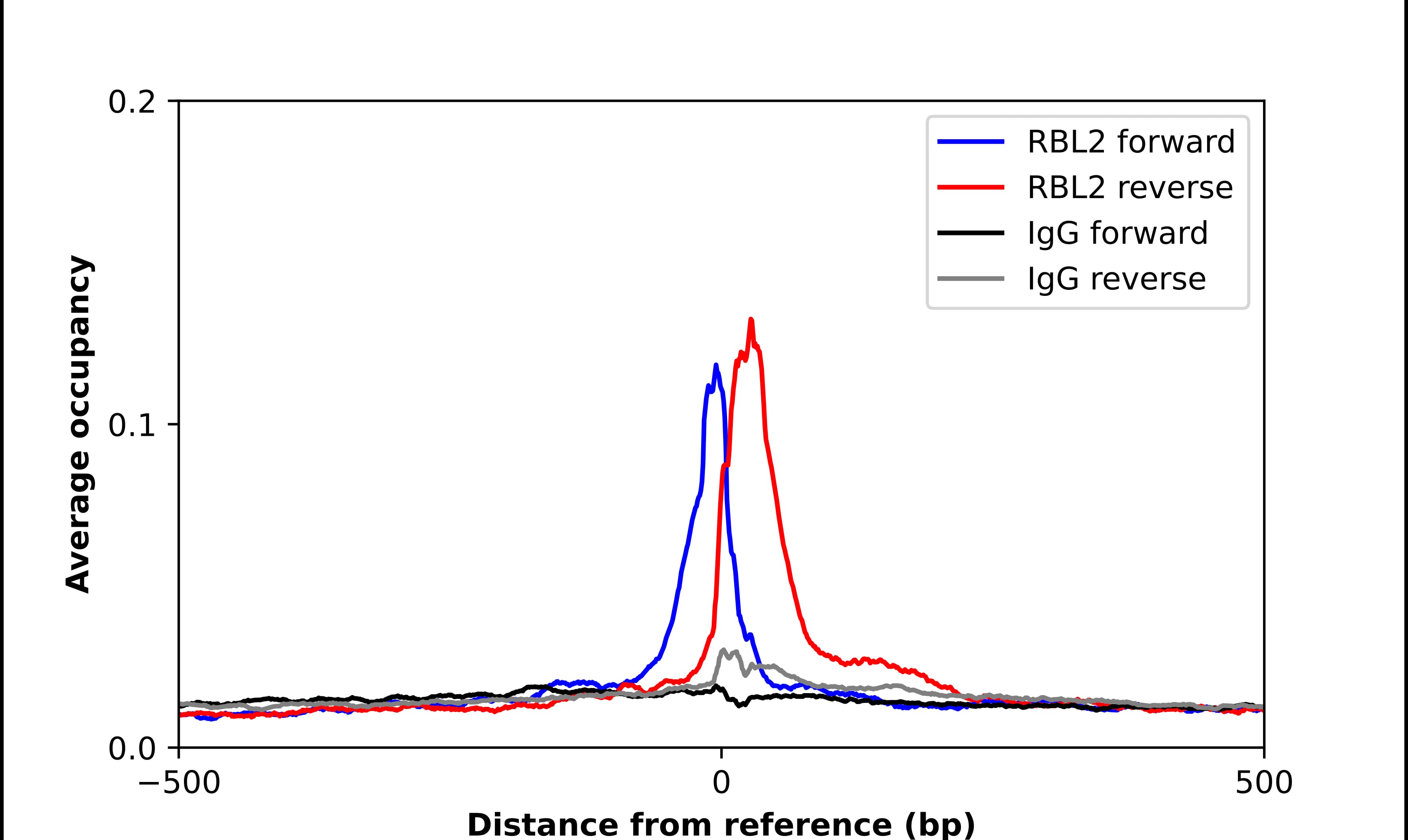 ChIP-Exo-Seq composite graph for Anti-p130 tested in K562 cells. Strand-specific reads (blue: forward, red: reverse) and IgG controls (black: forward, grey: reverse) are plotted against the distance from a composite set of reference binding sites. The antibody exhibits robust target enrichment compared to a non-specific IgG control and precisely reveals its structural organization around the binding site. Data generated by Prof. B. F. Pugh's Lab at Cornell University.