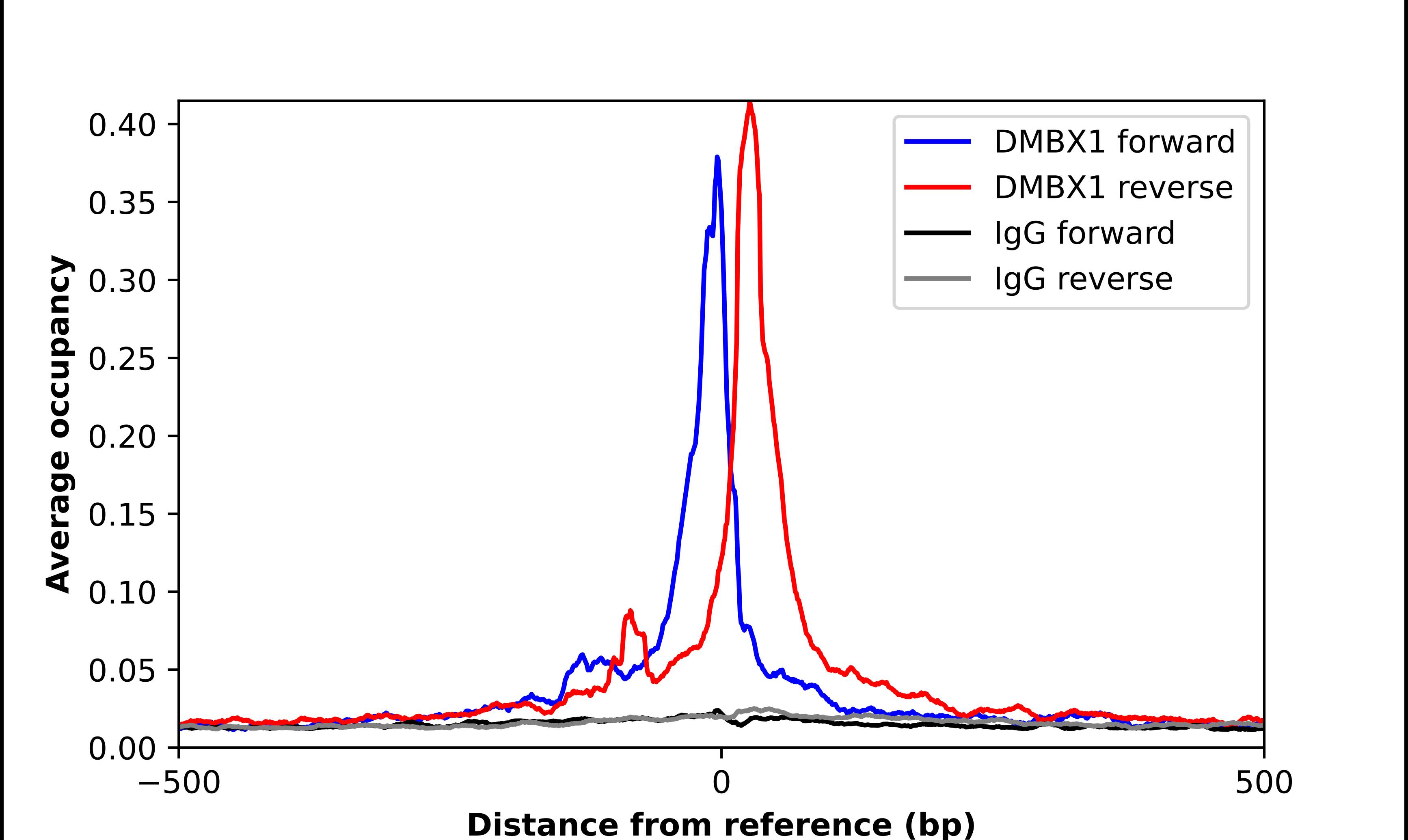 ChIP-Exo-Seq composite graph for Anti-OTX3 tested in K562 cells. Strand-specific reads (blue: forward, red: reverse) and IgG controls (black: forward, grey: reverse) are plotted against the distance from a composite set of reference binding sites. The antibody exhibits robust target enrichment compared to a non-specific IgG control and precisely reveals its structural organization around the binding site. Data generated by Prof. B. F. Pugh's Lab at Cornell University.