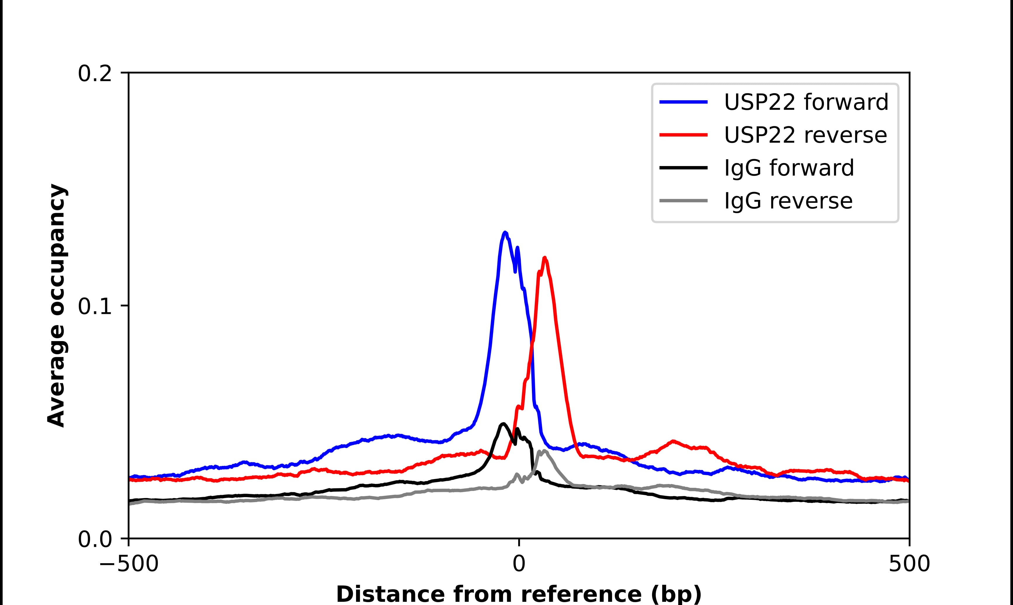 ChIP-Exo-Seq composite graph for Anti-USP22 tested in K562 cells. Strand-specific reads (blue: forward, red: reverse) and IgG controls (black: forward, grey: reverse) are plotted against the distance from a composite set of reference binding sites. The antibody exhibits robust target enrichment compared to a non-specific IgG control and precisely reveals its structural organization around the binding site. Data generated by Prof. B. F. Pugh's Lab at Cornell University.