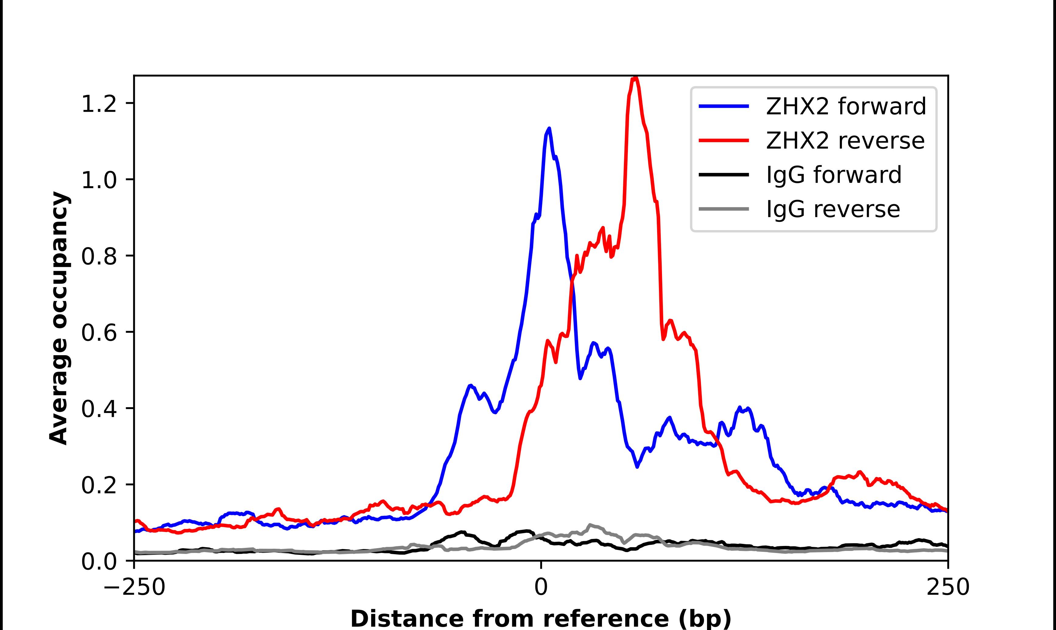 ChIP-Exo-Seq composite graph for Anti-ZHX2 tested in K562 cells. Strand-specific reads (blue: forward, red: reverse) and IgG controls (black: forward, grey: reverse) are plotted against the distance from a composite set of reference binding sites. The antibody exhibits robust target enrichment compared to a non-specific IgG control and precisely reveals its structural organization around the binding site. Data generated by Prof. B. F. Pugh's Lab at Cornell University.