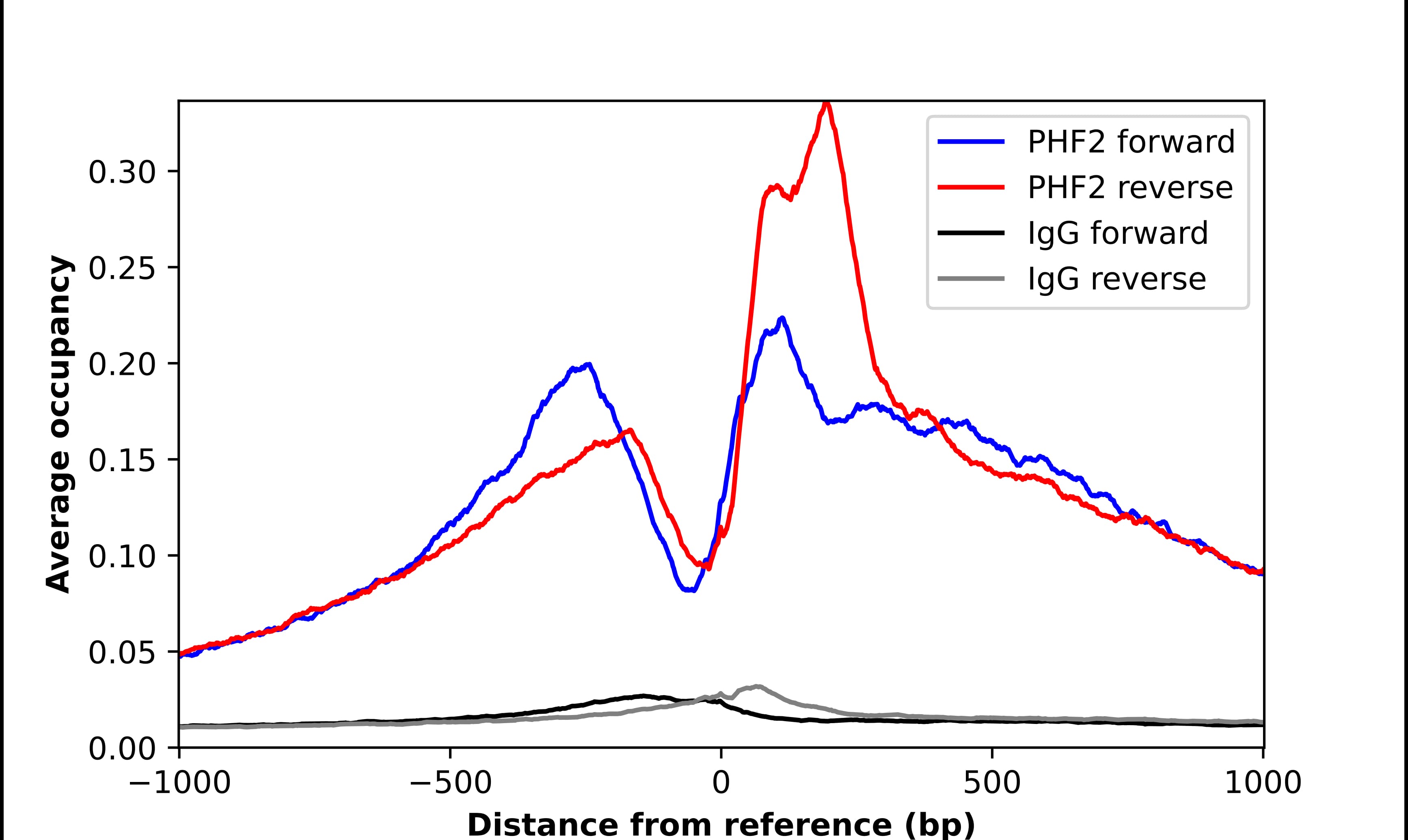 ChIP-Exo-Seq composite graph for Anti-PHF2 tested in K562 cells. Strand-specific reads (blue: forward, red: reverse) and IgG controls (black: forward, grey: reverse) are plotted against the distance from a composite set of reference binding sites. The antibody exhibits robust target enrichment compared to a non-specific IgG control and precisely reveals its structural organization around the binding site. Data generated by Prof. B. F. Pugh's Lab at Cornell University.