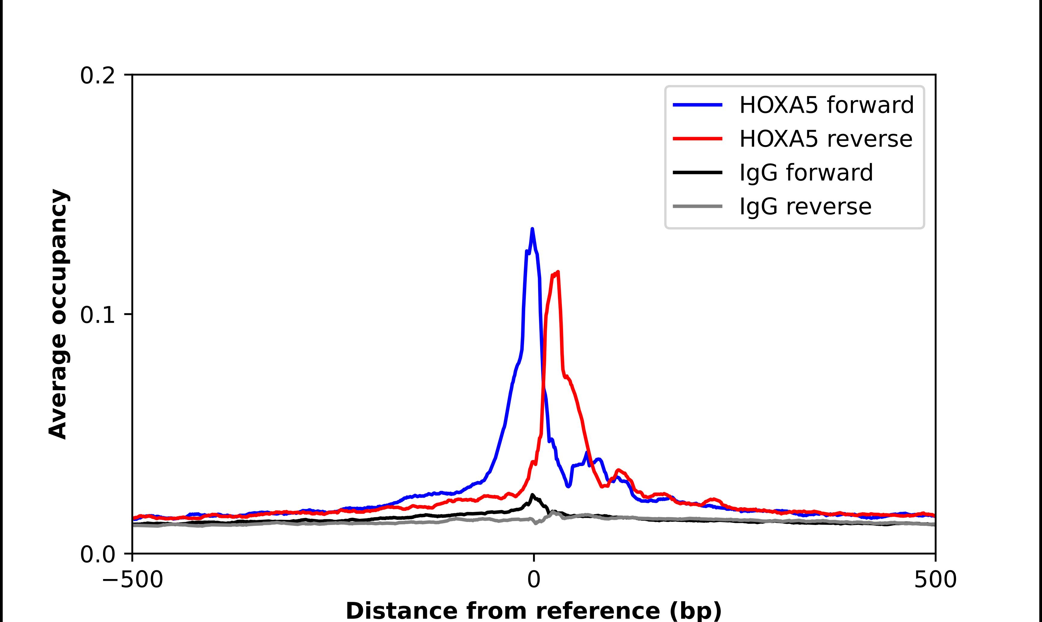ChIP-Exo-Seq composite graph for Anti-HOXA5 tested in K562 cells. Strand-specific reads (blue: forward, red: reverse) and IgG controls (black: forward, grey: reverse) are plotted against the distance from a composite set of reference binding sites. The antibody exhibits robust target enrichment compared to a non-specific IgG control and precisely reveals its structural organization around the binding site. Data generated by Prof. B. F. Pugh's Lab at Cornell University.