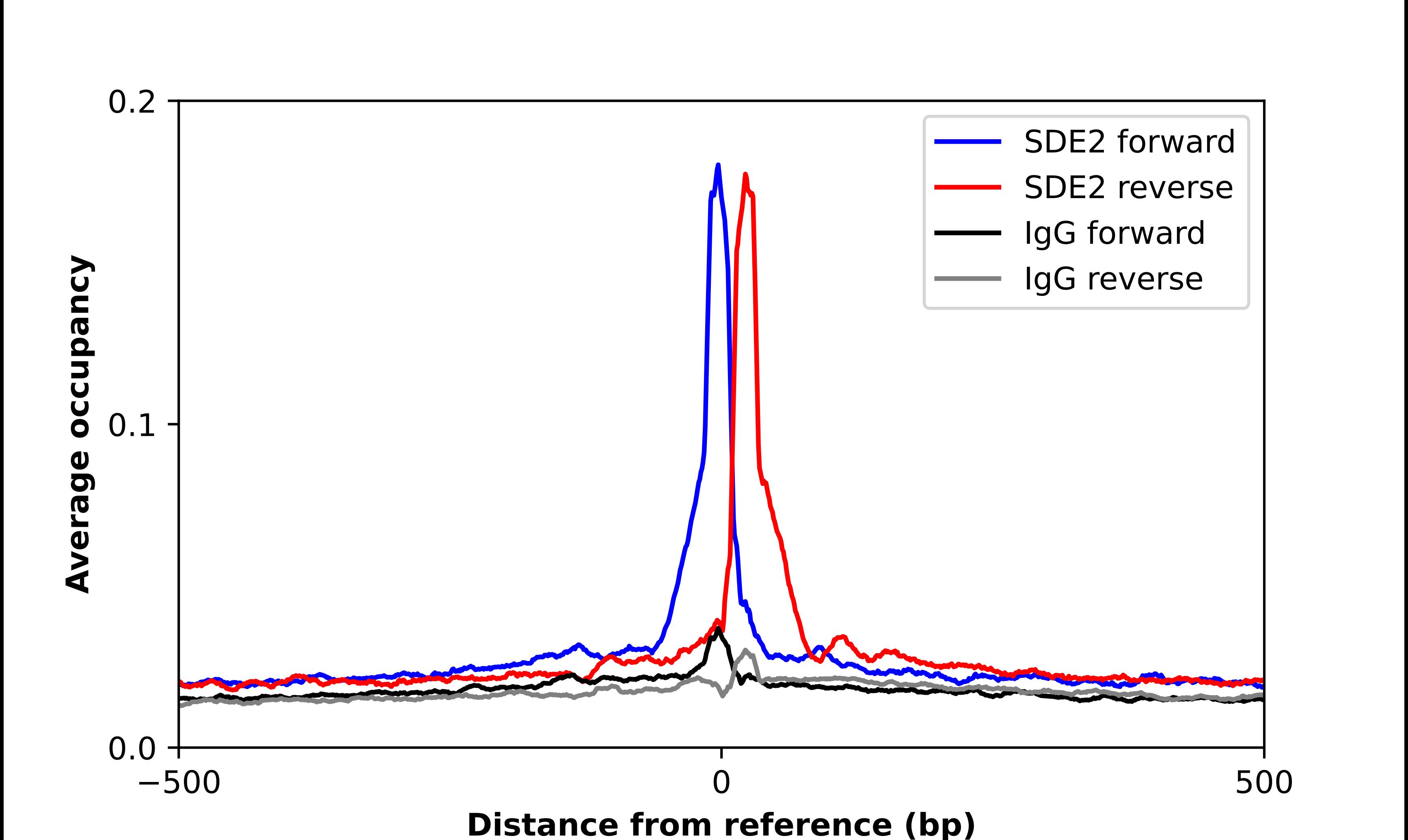 ChIP-Exo-Seq composite graph for Anti-SDE2 tested in K562 cells. Strand-specific reads (blue: forward, red: reverse) and IgG controls (black: forward, grey: reverse) are plotted against the distance from a composite set of reference binding sites. The antibody exhibits robust target enrichment compared to a non-specific IgG control and precisely reveals its structural organization around the binding site. Data generated by Prof. B. F. Pugh's Lab at Cornell University.