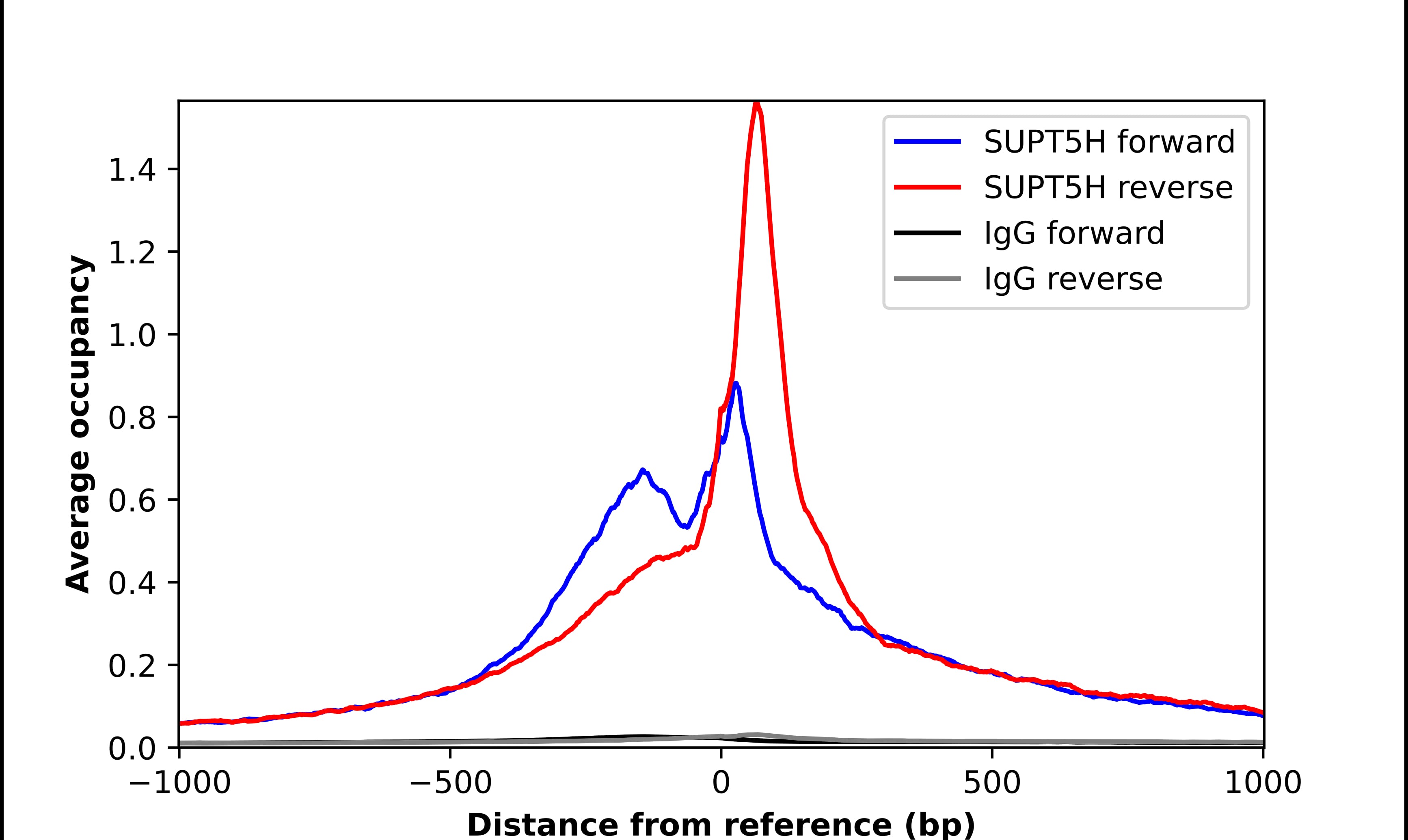 Chromatin Immunoprecipitation SUPT5H Antibody - BSA Free