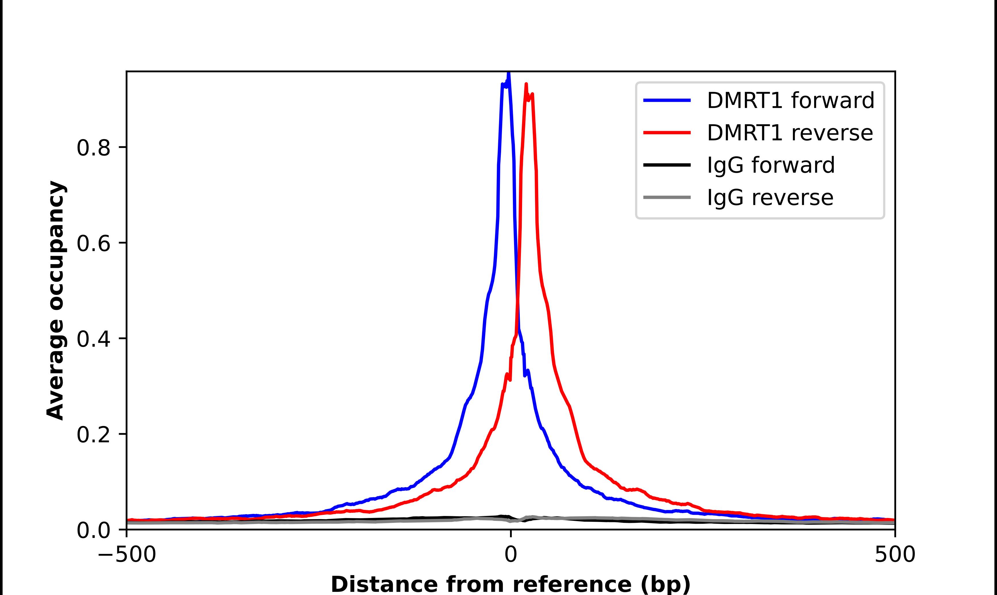 ChIP-Exo-Seq composite graph for Anti-DMRT1 tested in K562 cells. Strand-specific reads (blue: forward, red: reverse) and IgG controls (black: forward, grey: reverse) are plotted against the distance from a composite set of reference binding sites. The antibody exhibits robust target enrichment compared to a non-specific IgG control and precisely reveals its structural organization around the binding site. Data generated by Prof. B. F. Pugh's Lab at Cornell University.