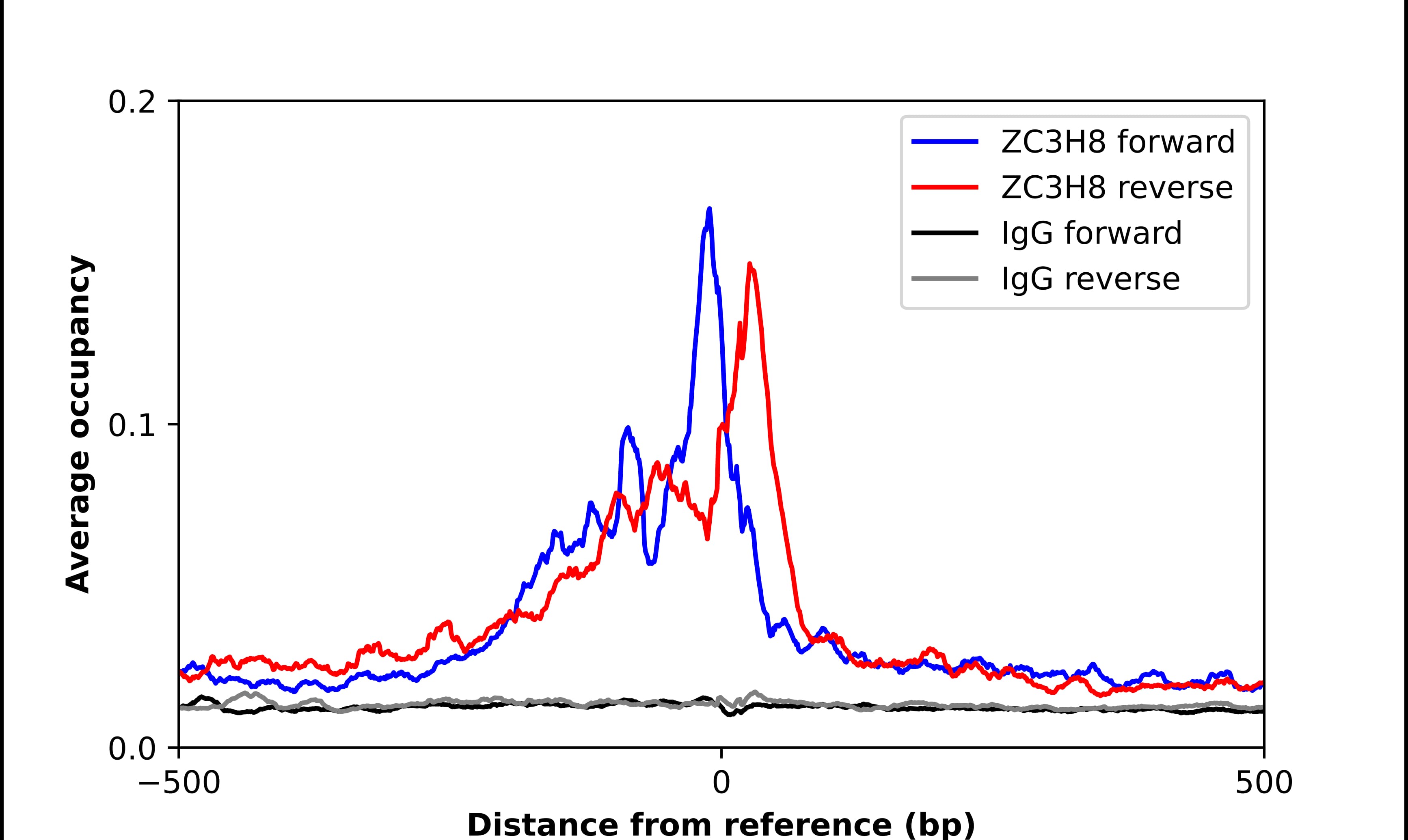ChIP-Exo-Seq composite graph for Anti-ZC3H8 (NBP1-84661) tested in K562 cells. Strand-specific reads (blue: forward, red: reverse) and IgG controls (black: forward, grey: reverse) are plotted against the distance from a composite set of reference binding sites. The antibody exhibits robust target enrichment compared to a non-specific IgG control and precisely reveals its structural organization around the binding site. Data generated by Prof. B. F. Pugh´s Lab at Cornell University.